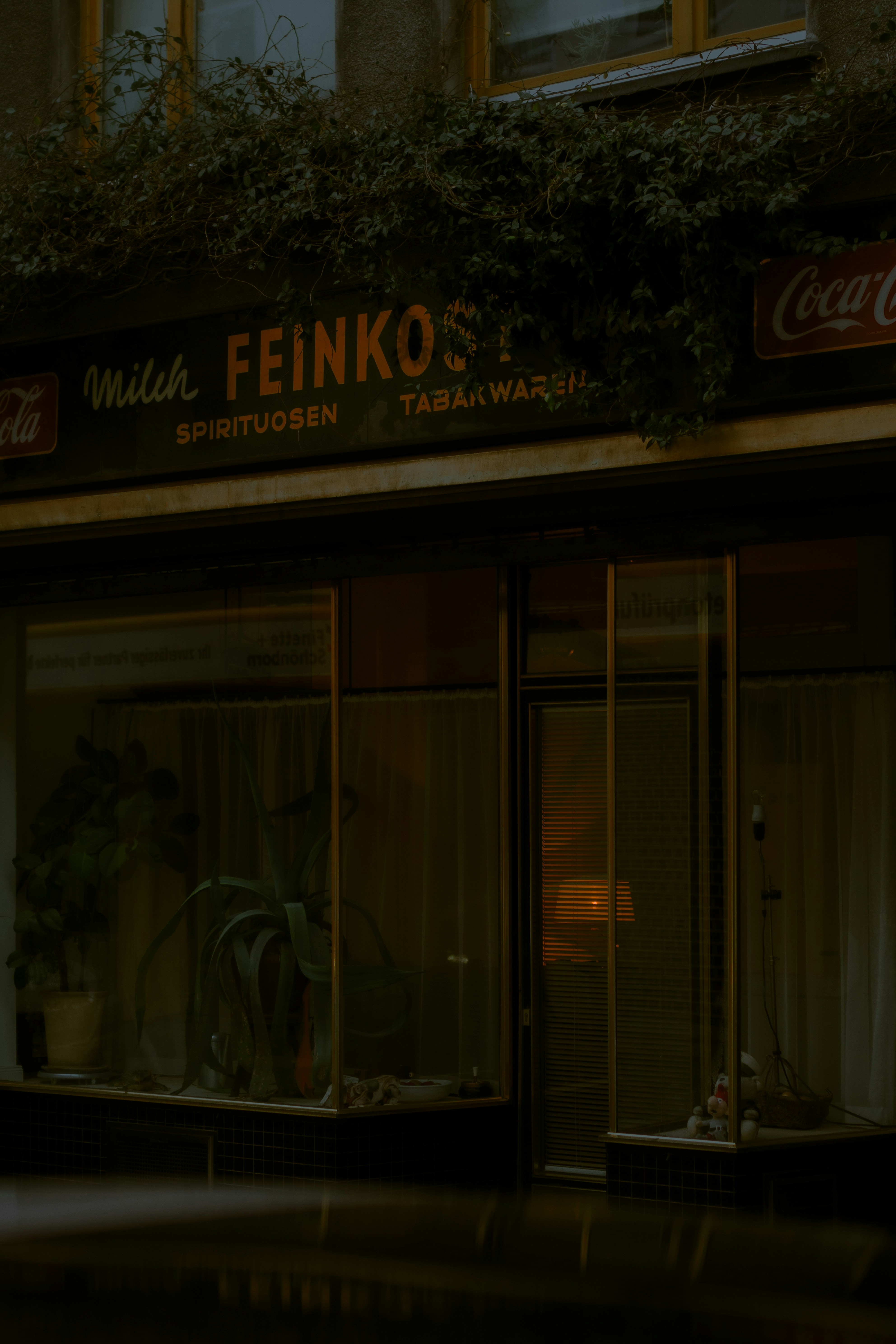 Etalase dengan tanaman yang tumbuh di luar jendela