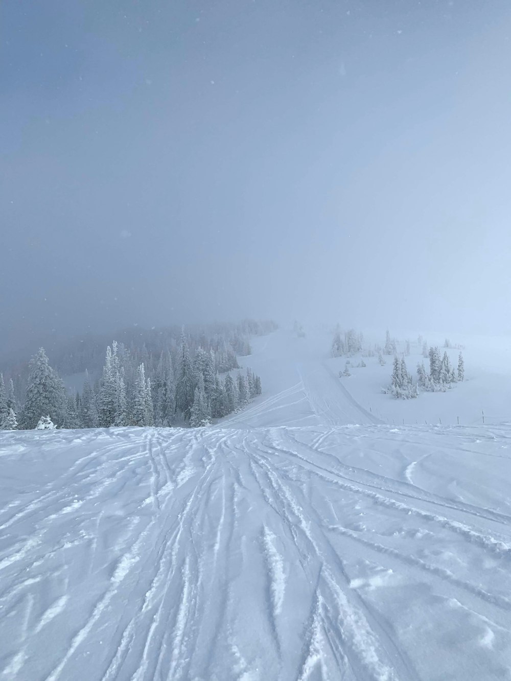 a person riding skis on a snowy surface