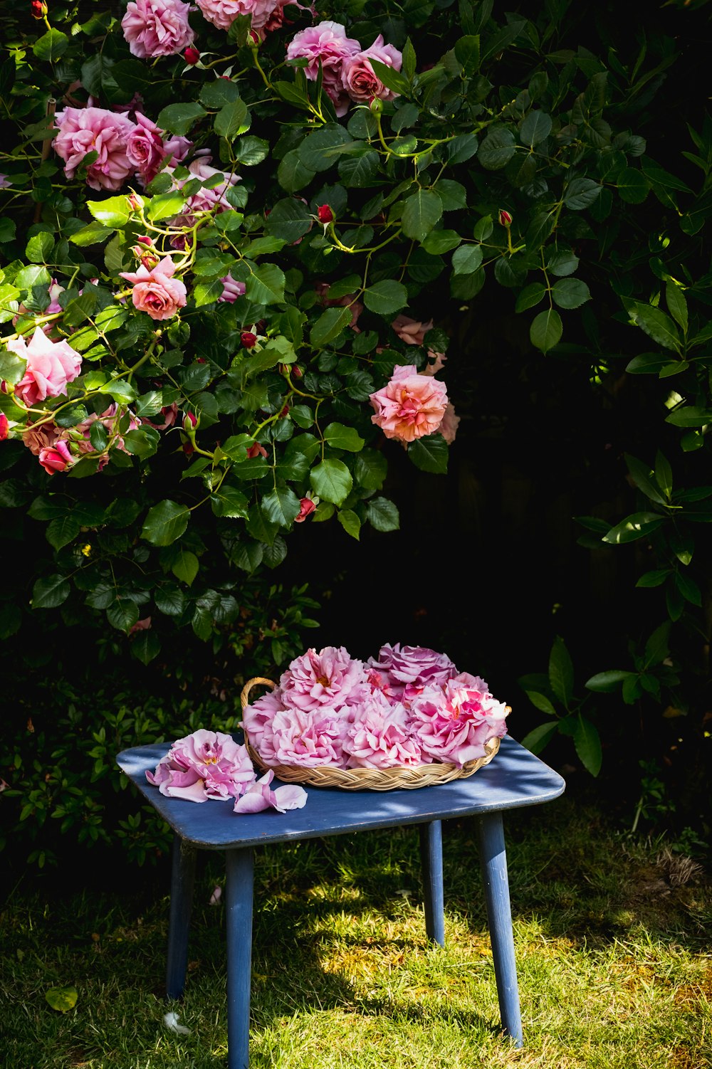 a basket of pink flowers sitting on top of a blue table