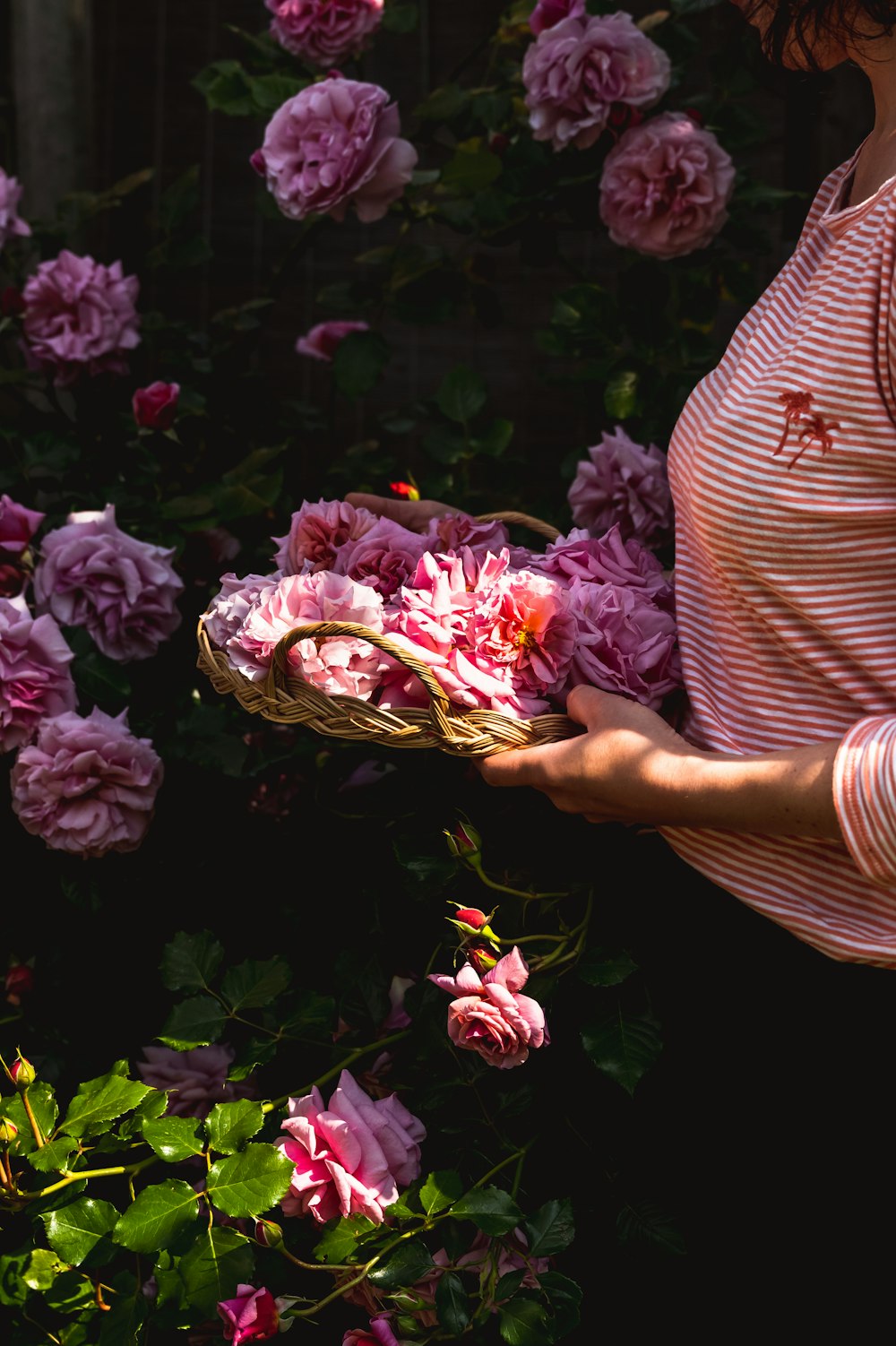 a woman holding a basket of pink flowers
