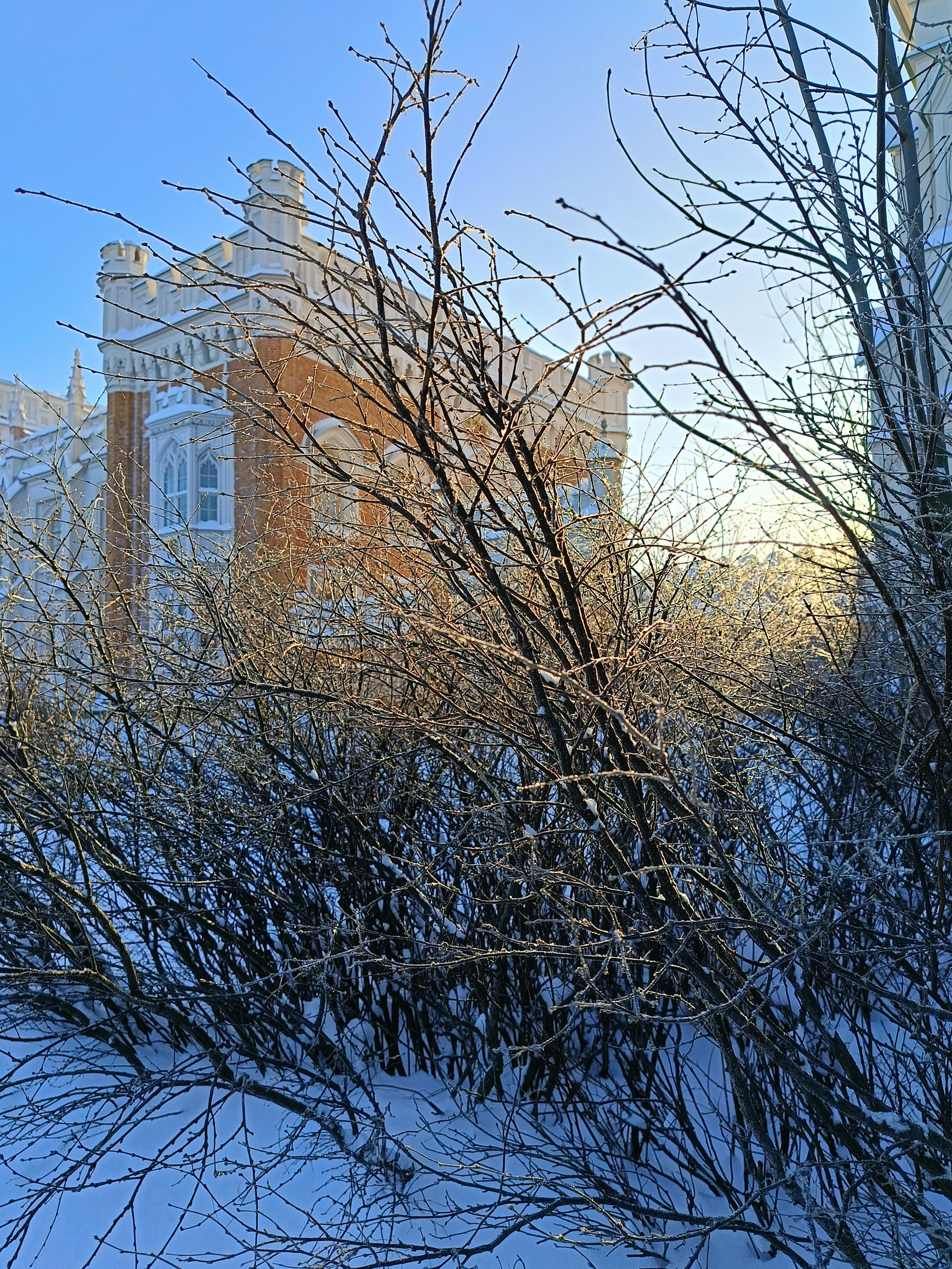 Photo by darkwaterwell