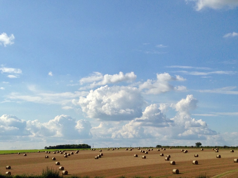a field full of hay bales under a cloudy blue sky