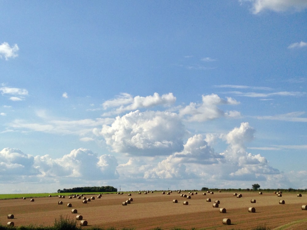 un campo lleno de fardos de heno bajo un cielo azul nublado