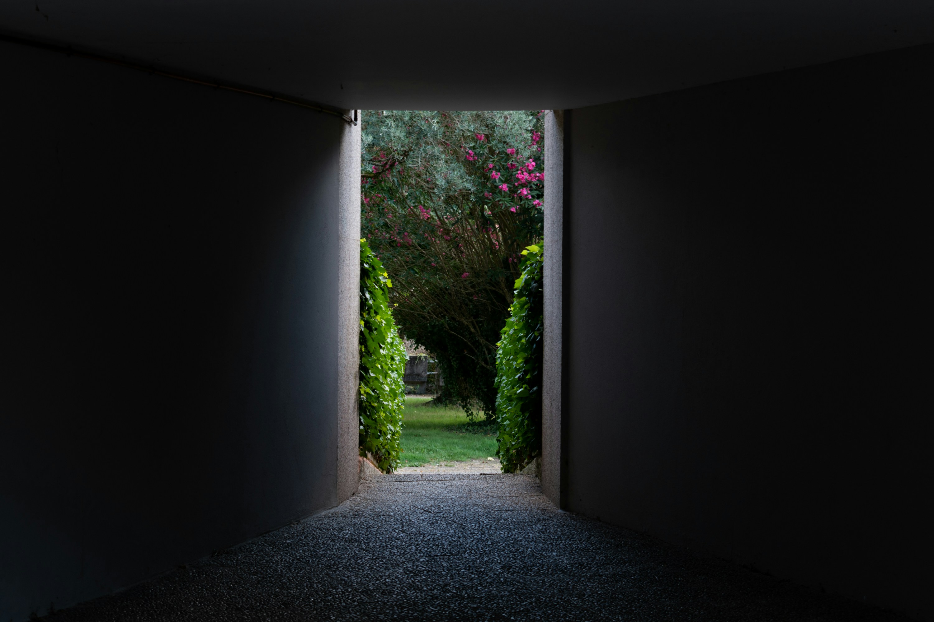an open door leading to a lush green garden