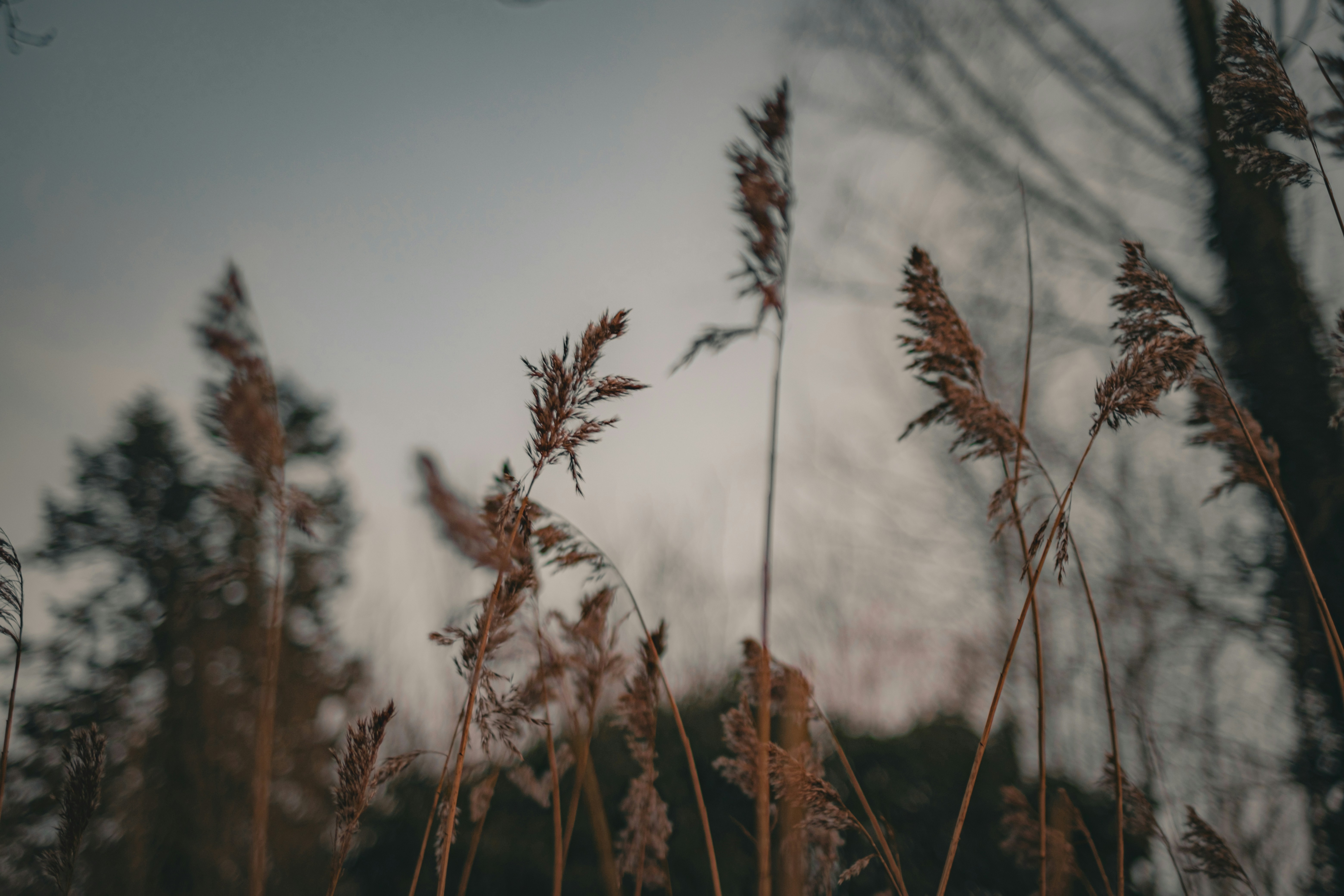 Photo by tamarabadran