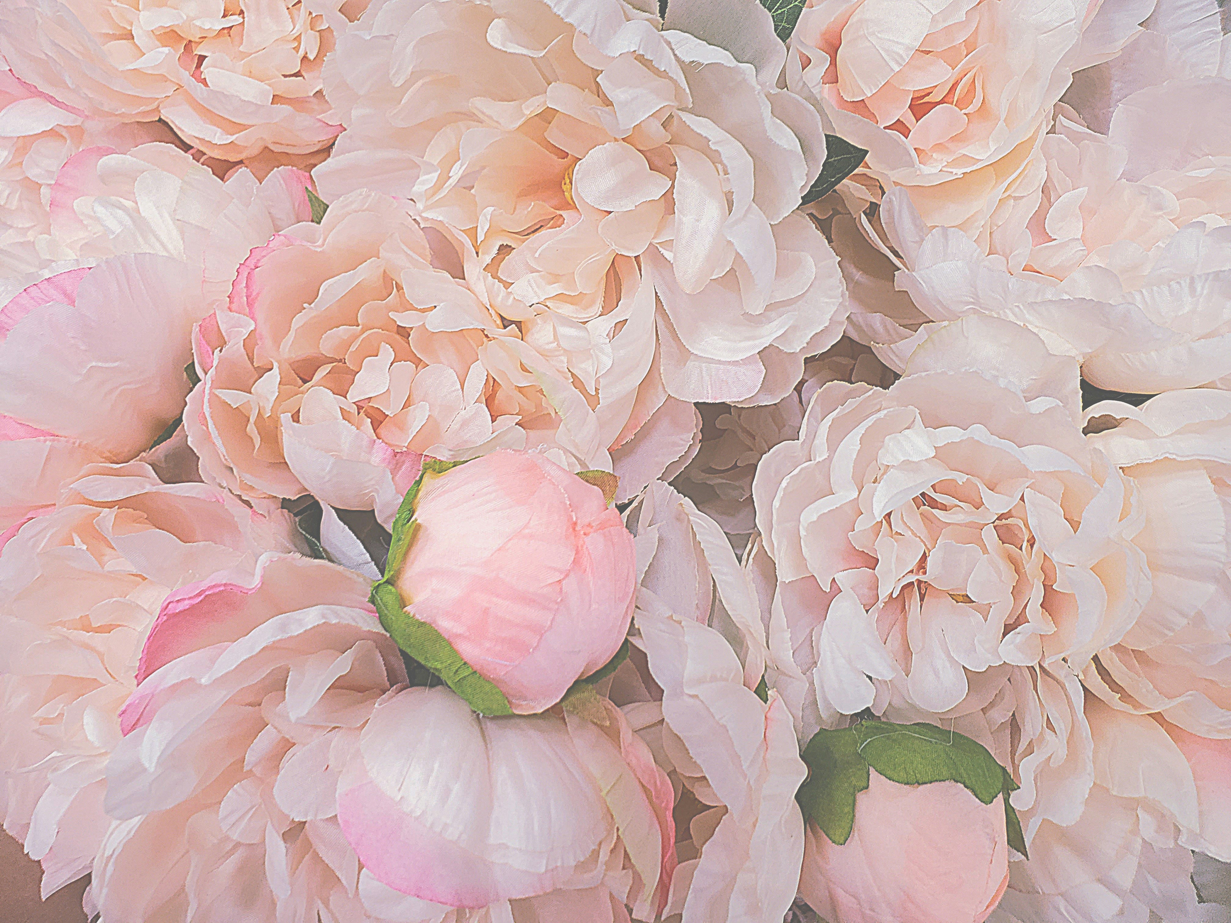 Photo by karolinabobek