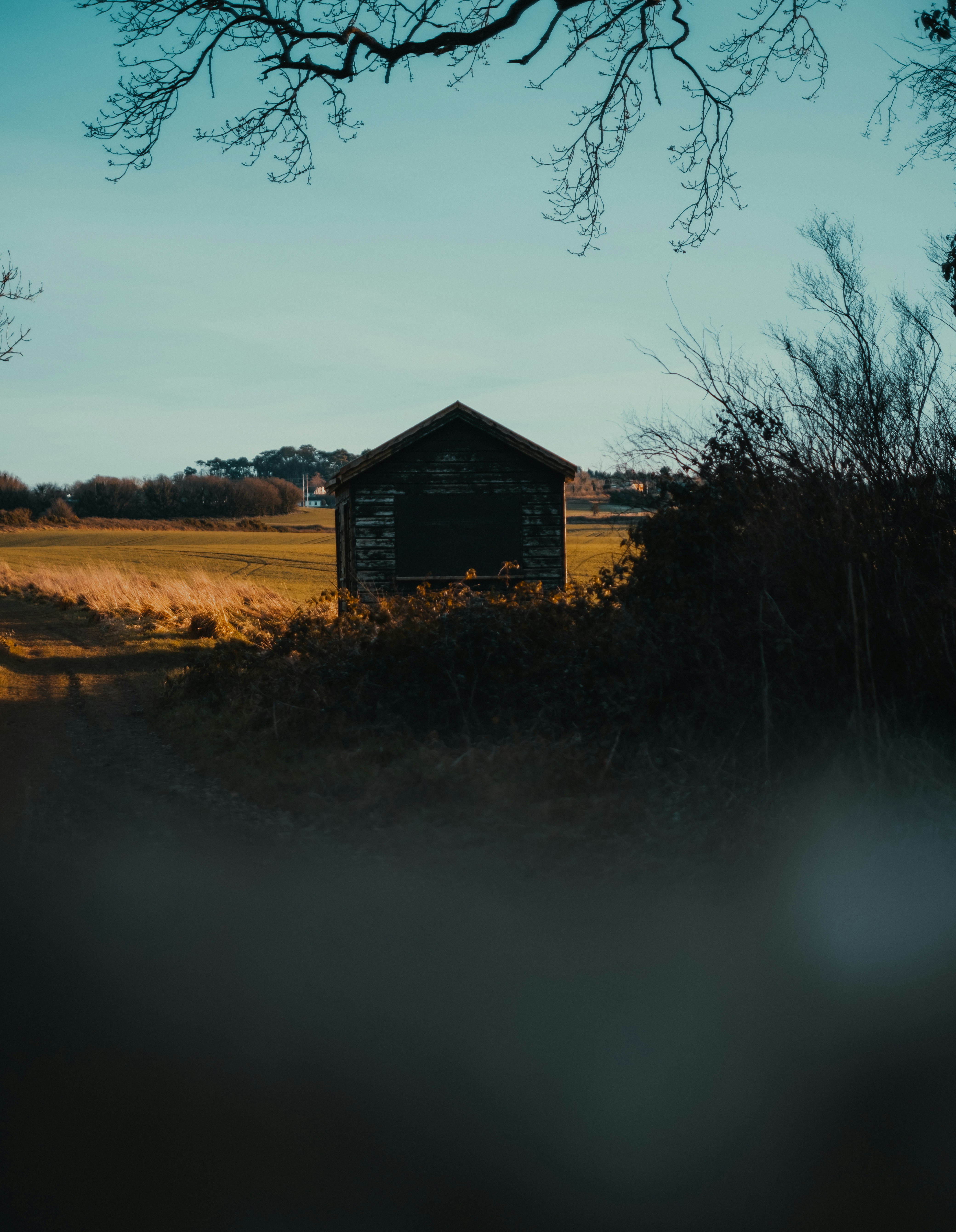 Photo by tamarabadran