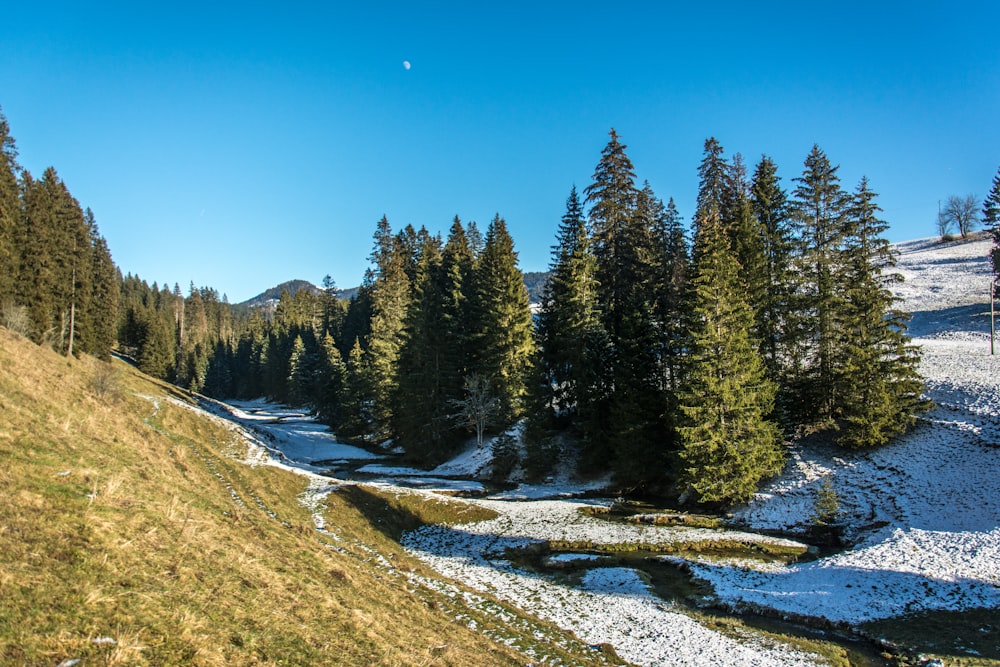 a snow covered hillside with a stream running through it