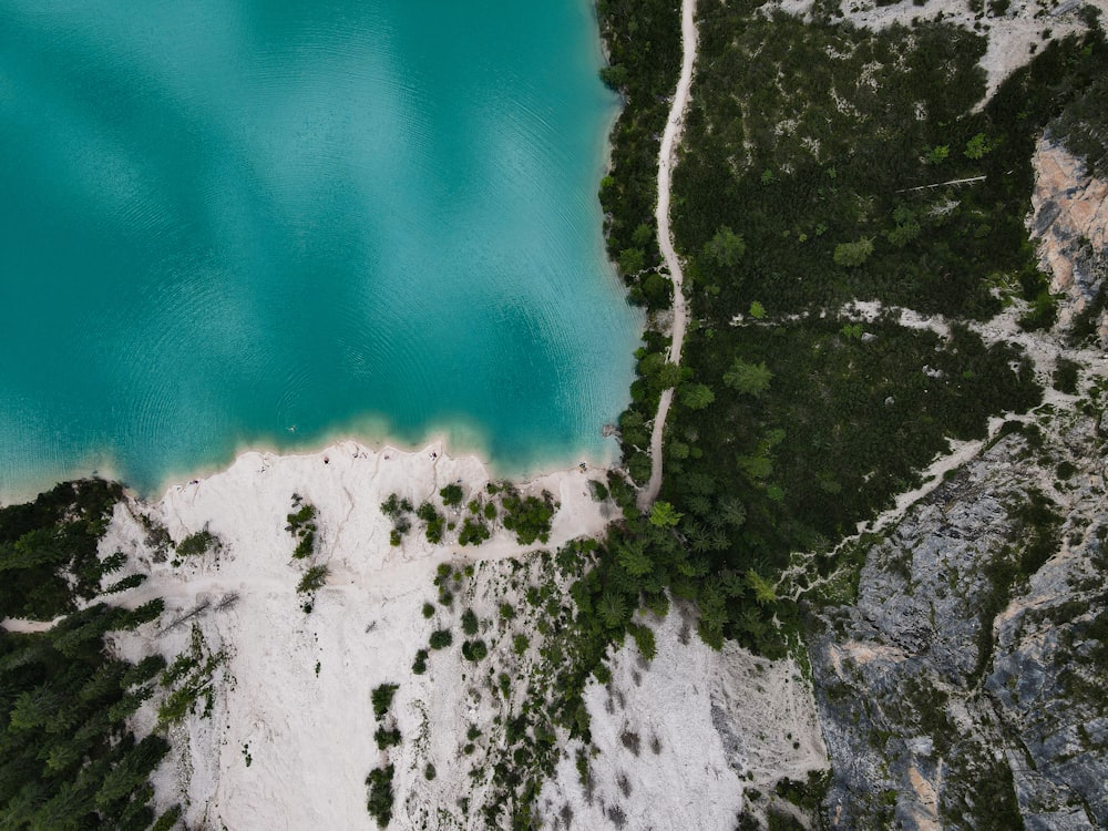 uma grande massa de água cercada por árvores