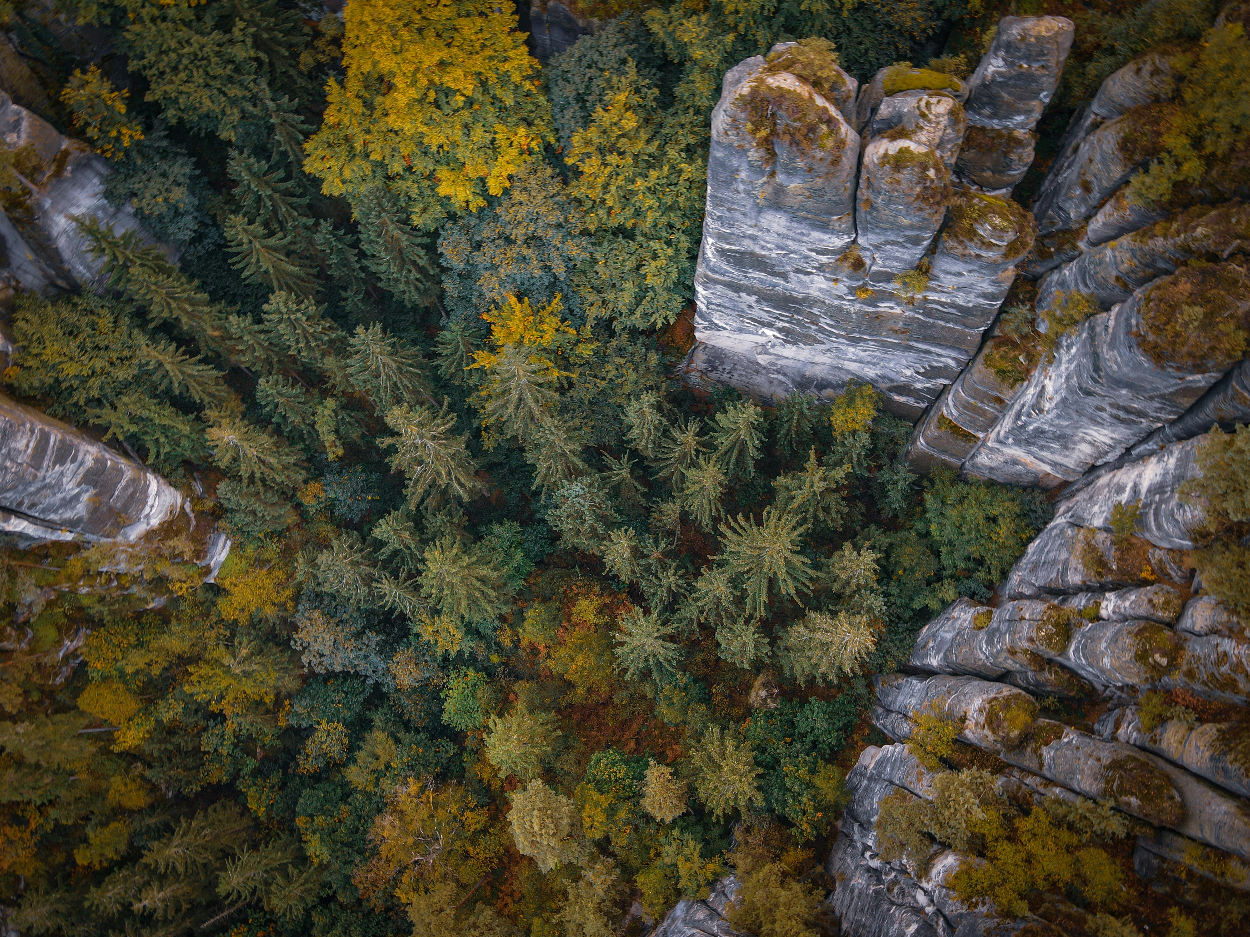 Photo by michaelarimakova