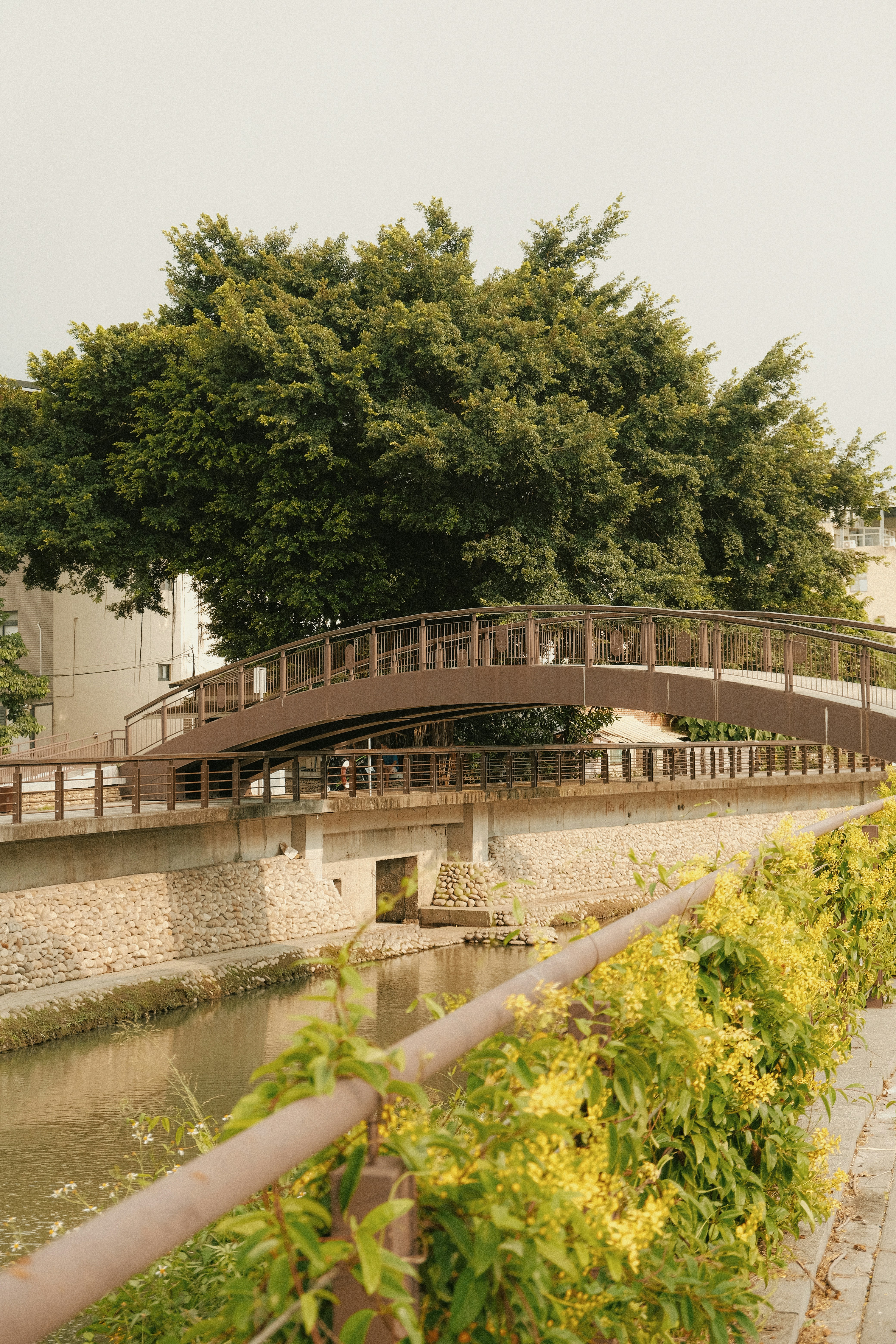 Photo by chanwei_snap