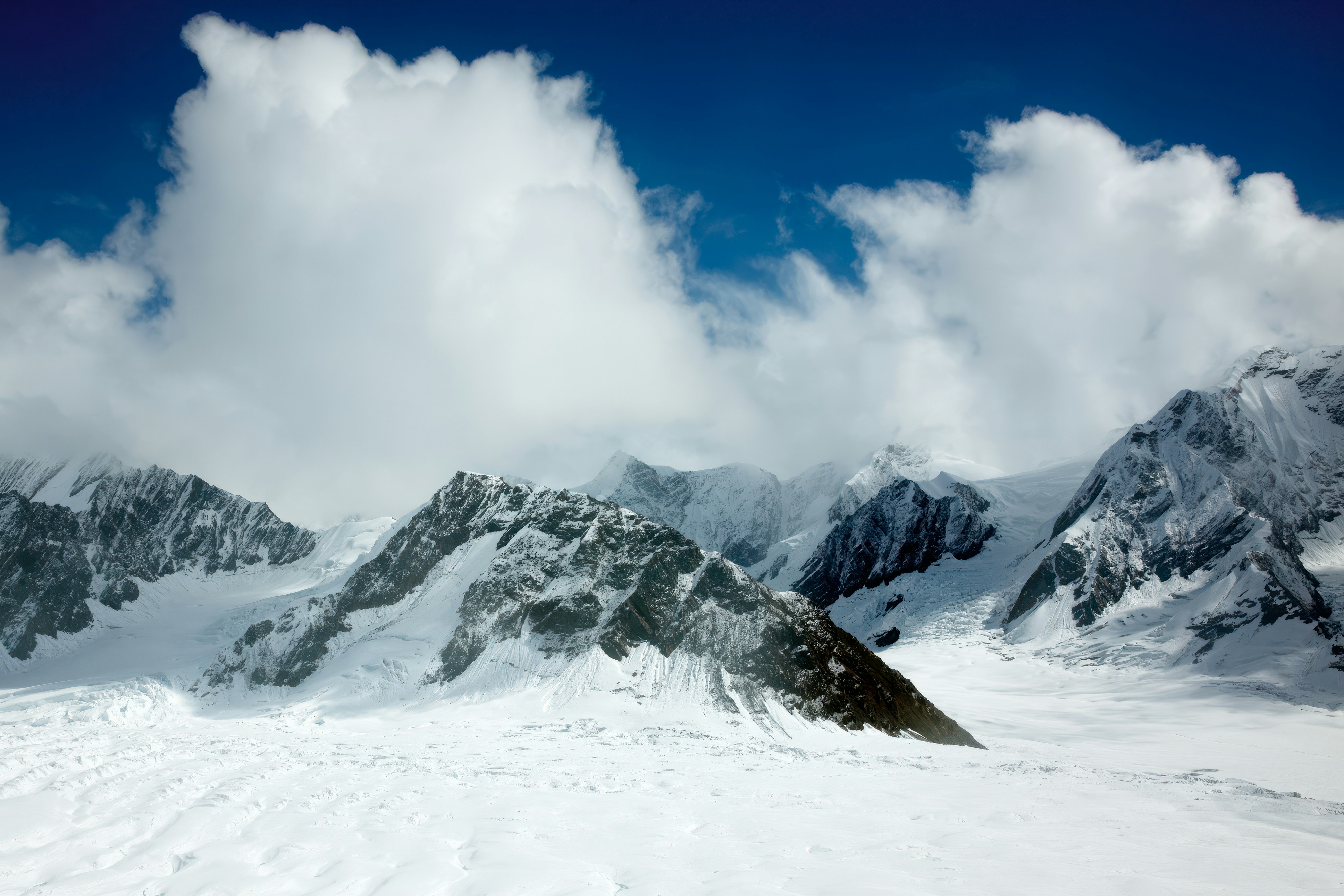 Photo by carolhighsmith