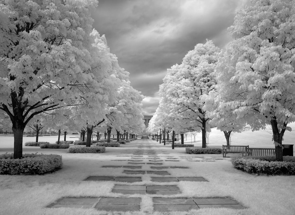 Nelson Atkins Museum Grounds