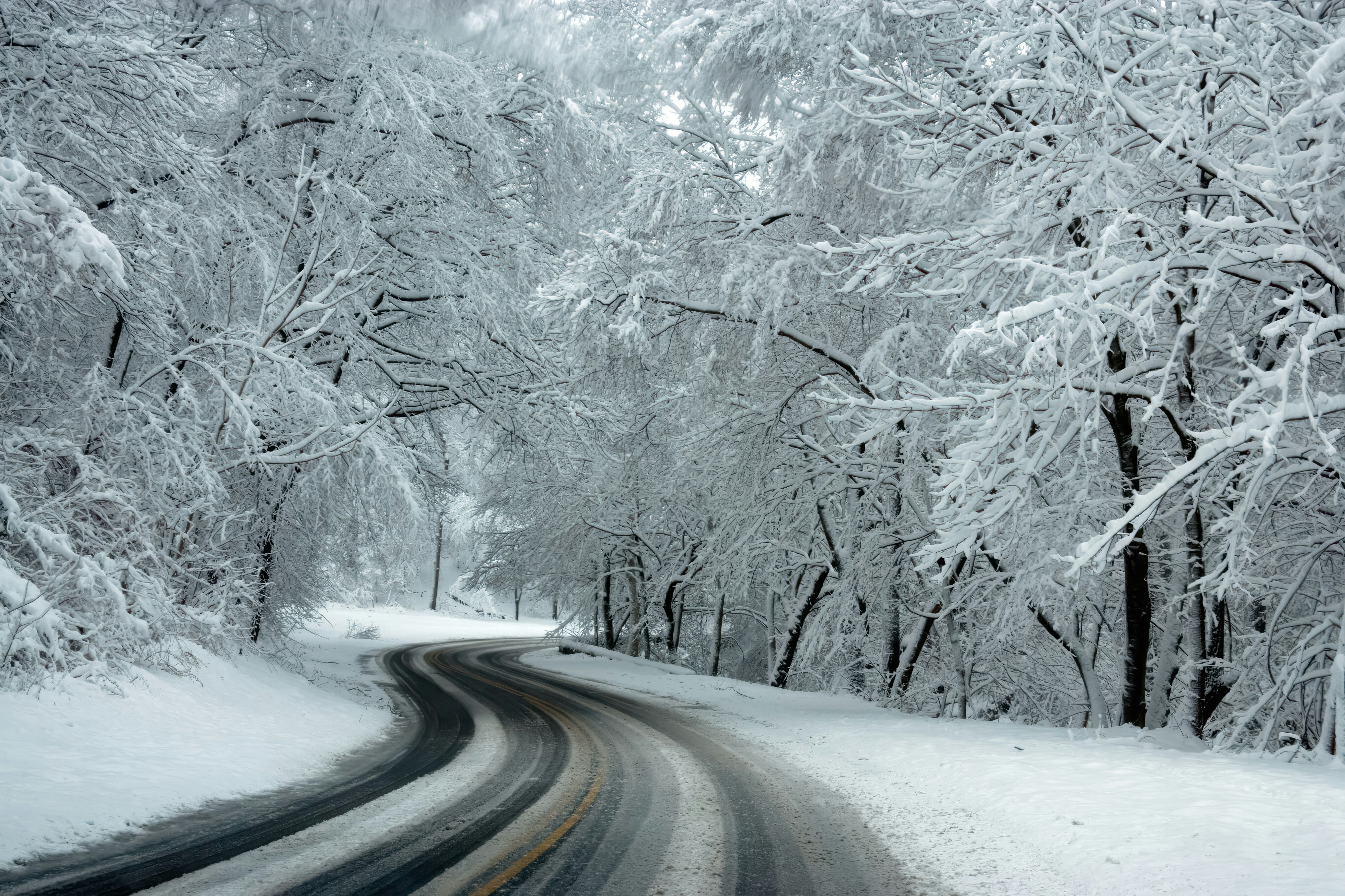 A winding icy road, overshadowed by snow laden branches.