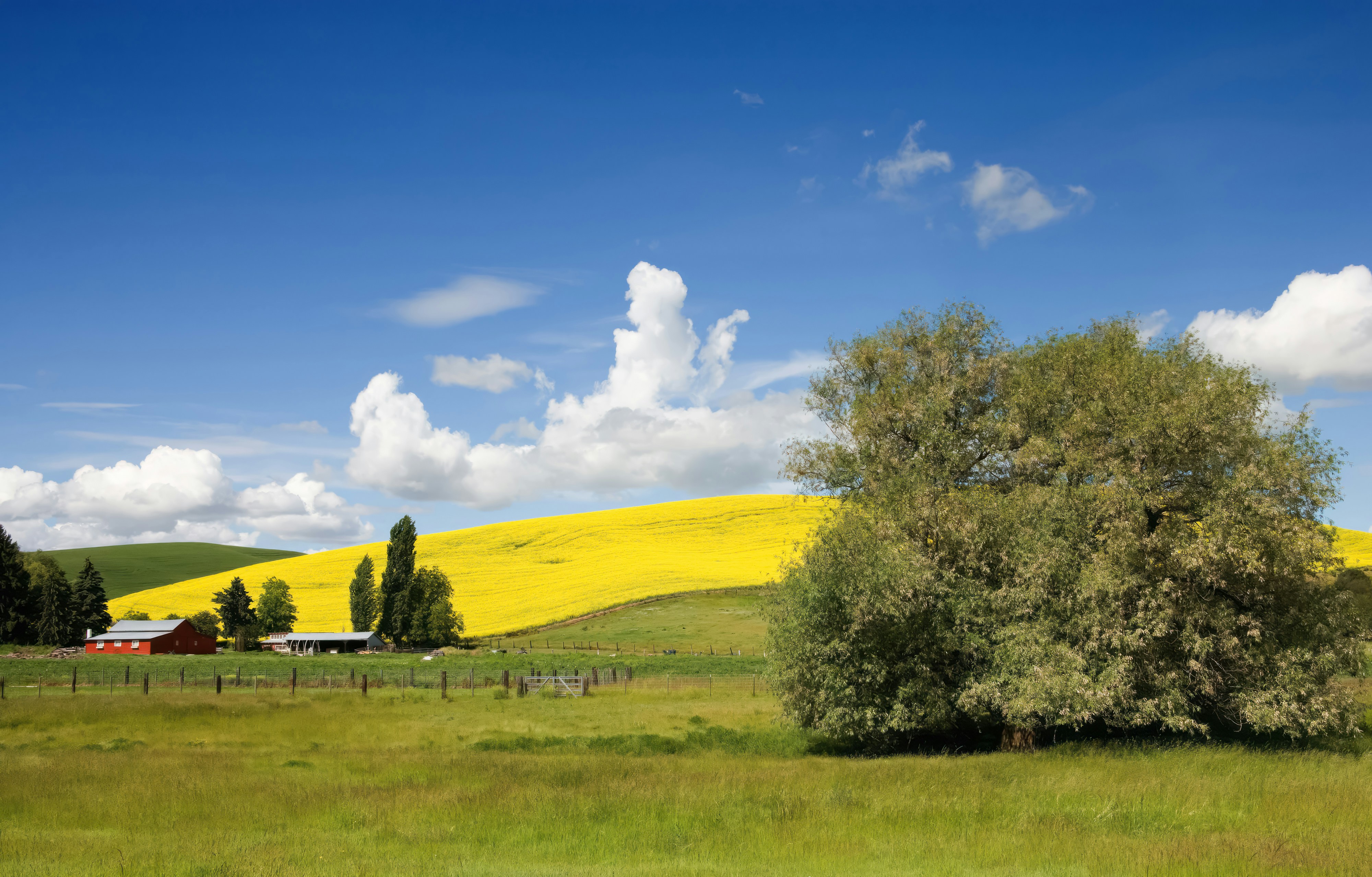 Farbenfrohe ländliche Landschaft von Idaho