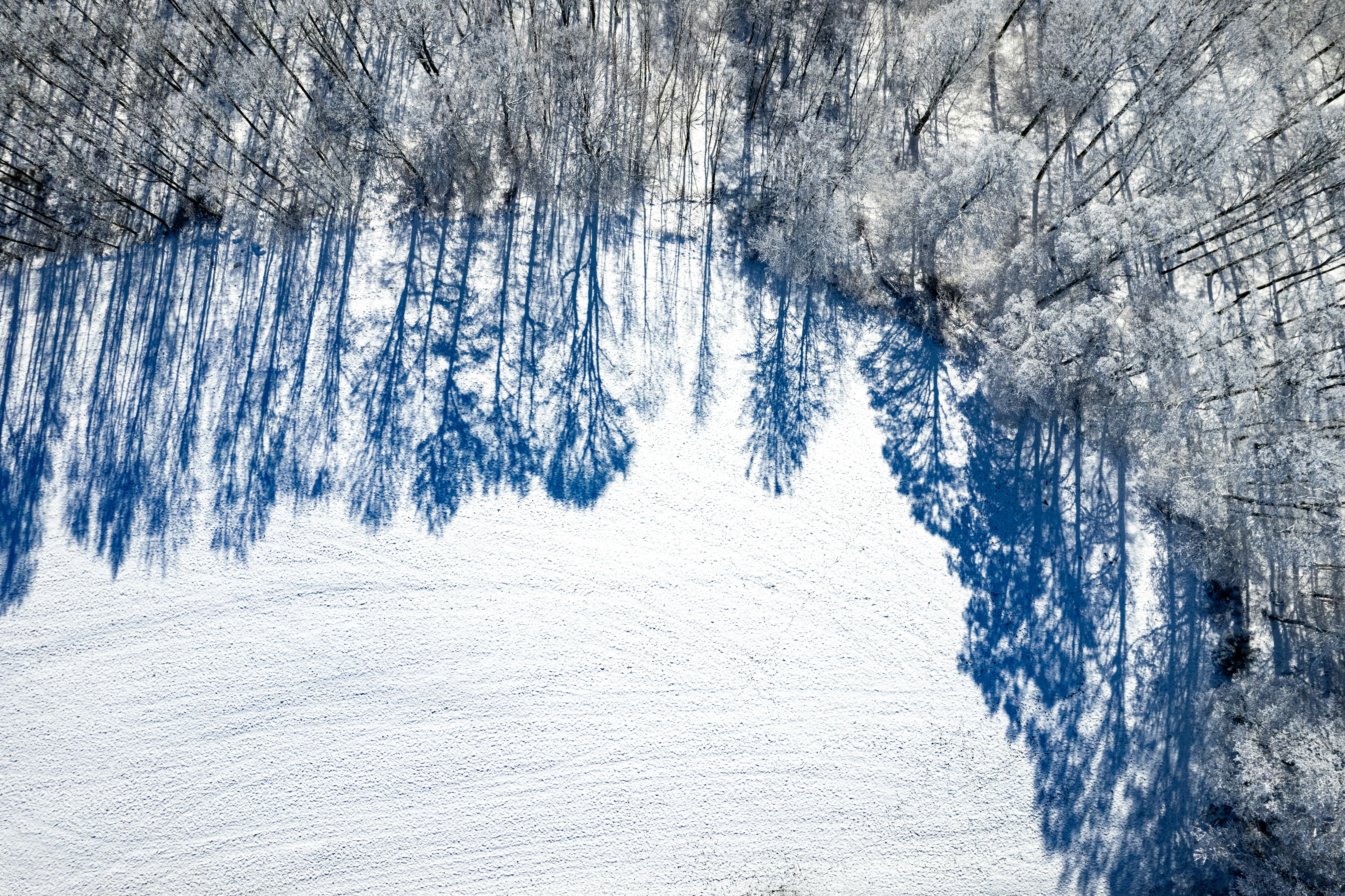 an aerial view of a snow covered forest