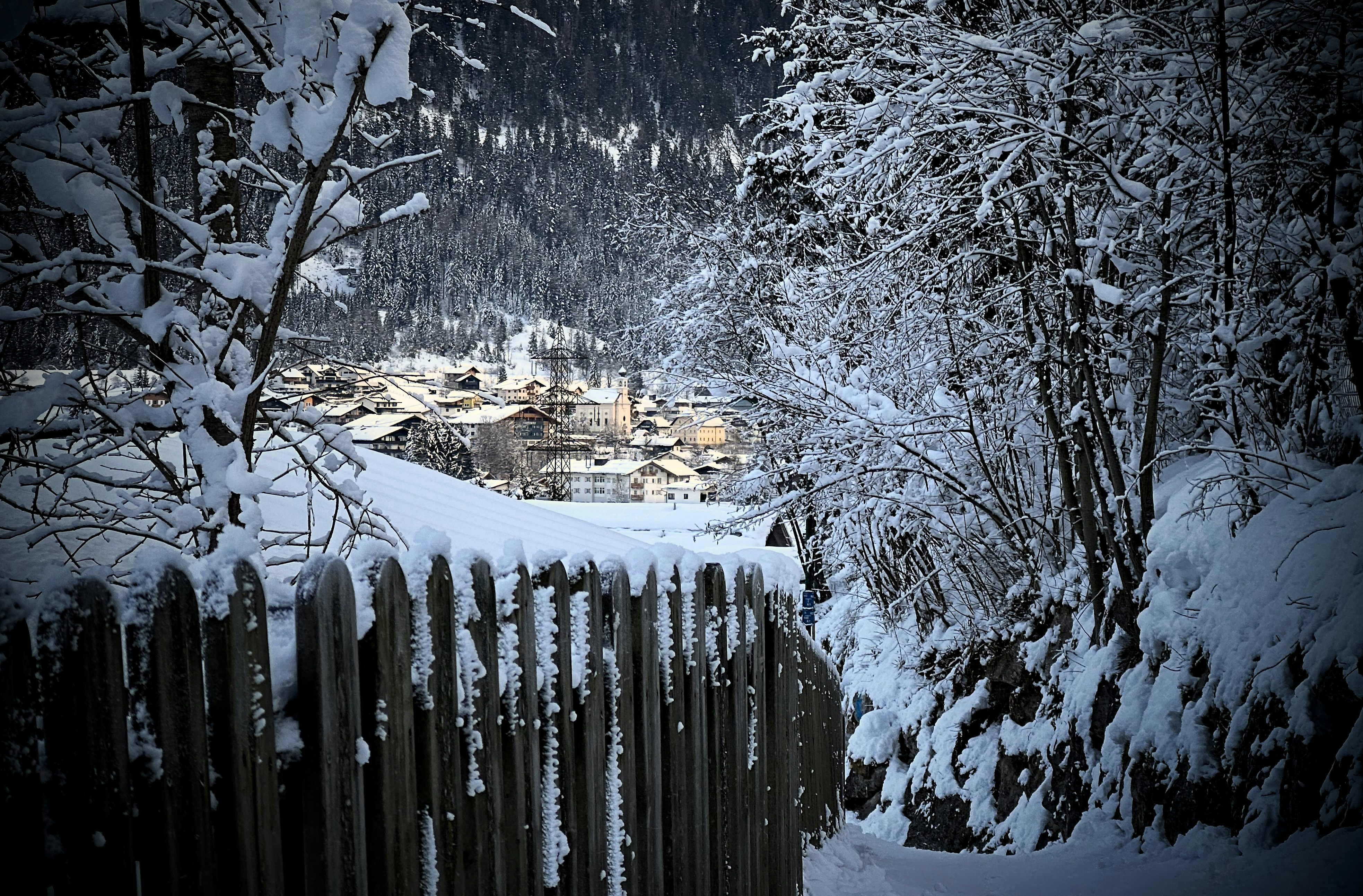 This week's best things