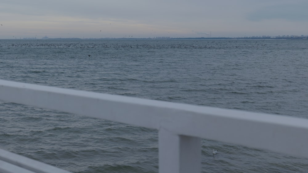 a large body of water with birds flying over it