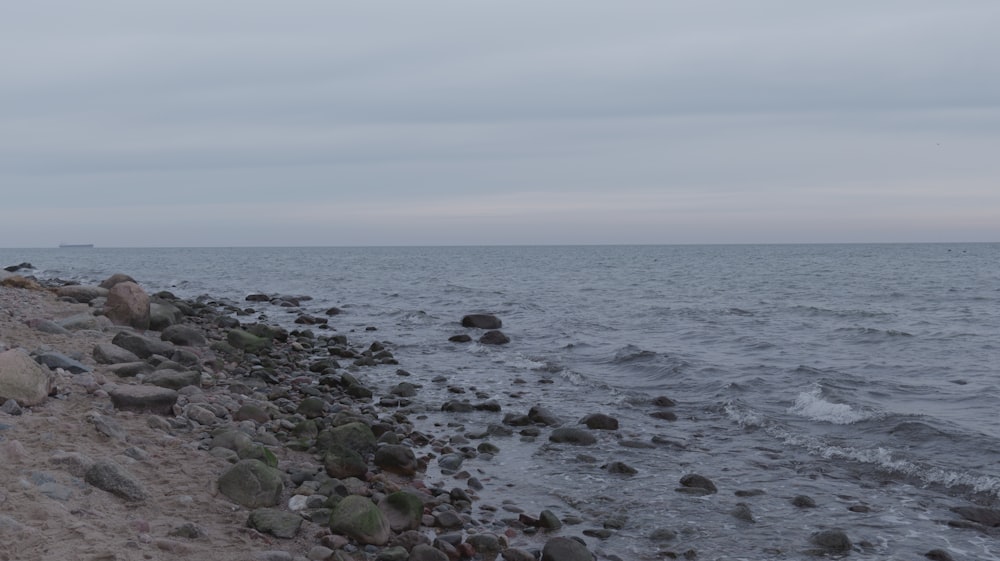 a person walking along a rocky beach next to the ocean