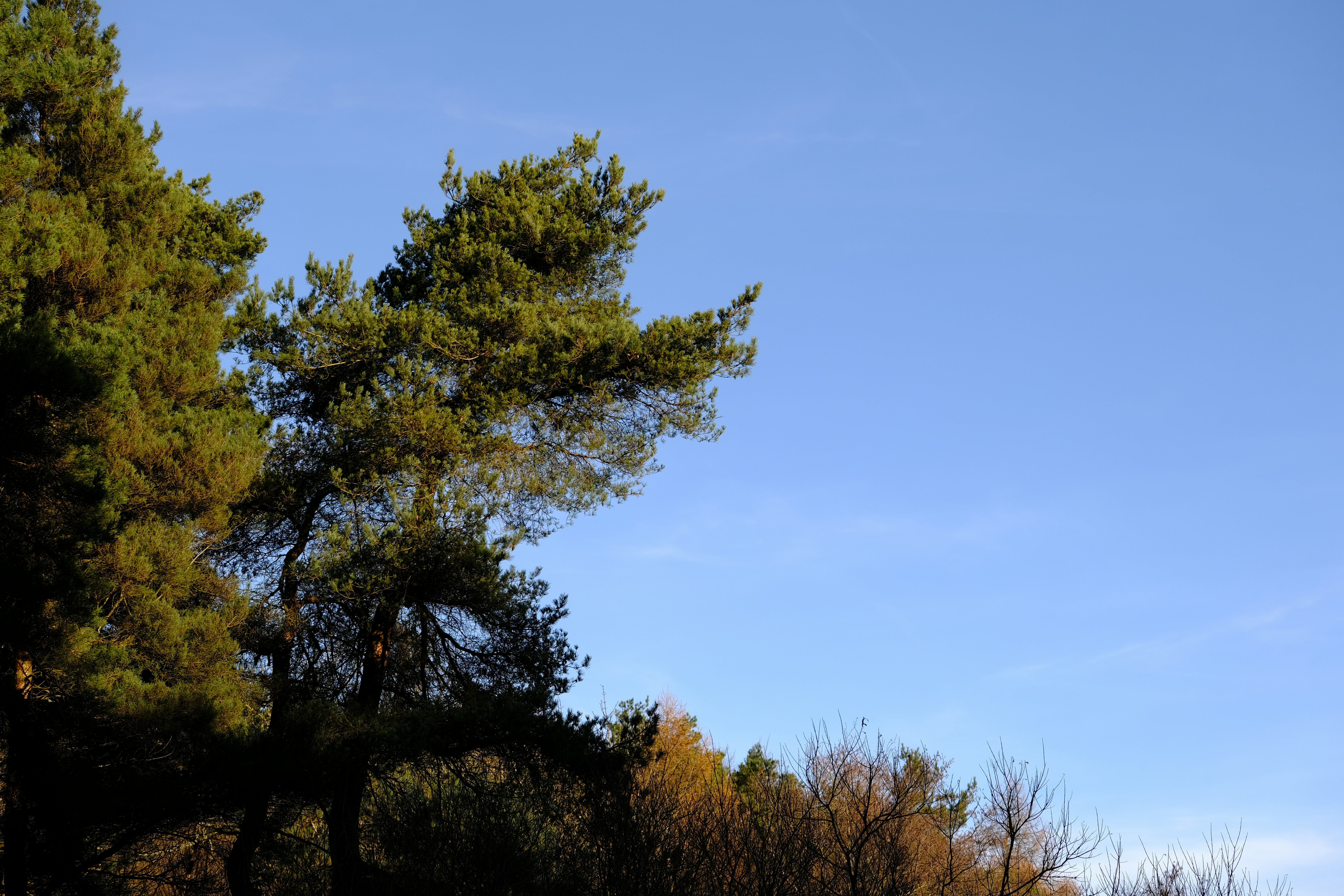 Photo by rory_tucker_photography