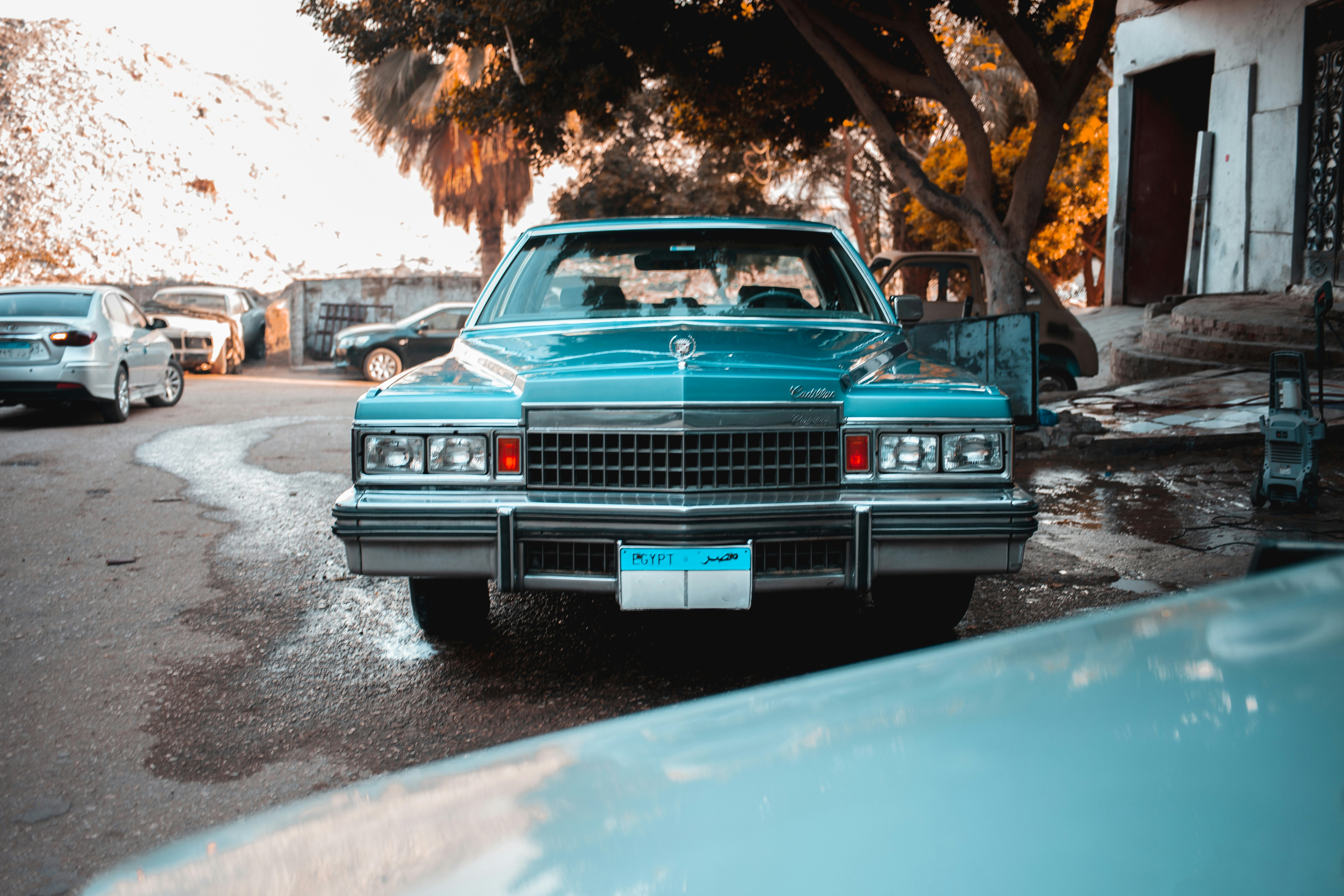 Photo by dodgeworks
