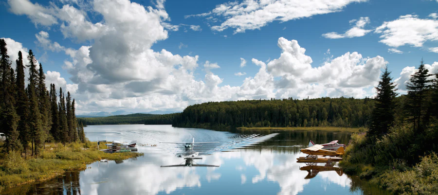 Float planes moored on a forest lake with mountains behind, Fish Lake near Talkeetna Alaska