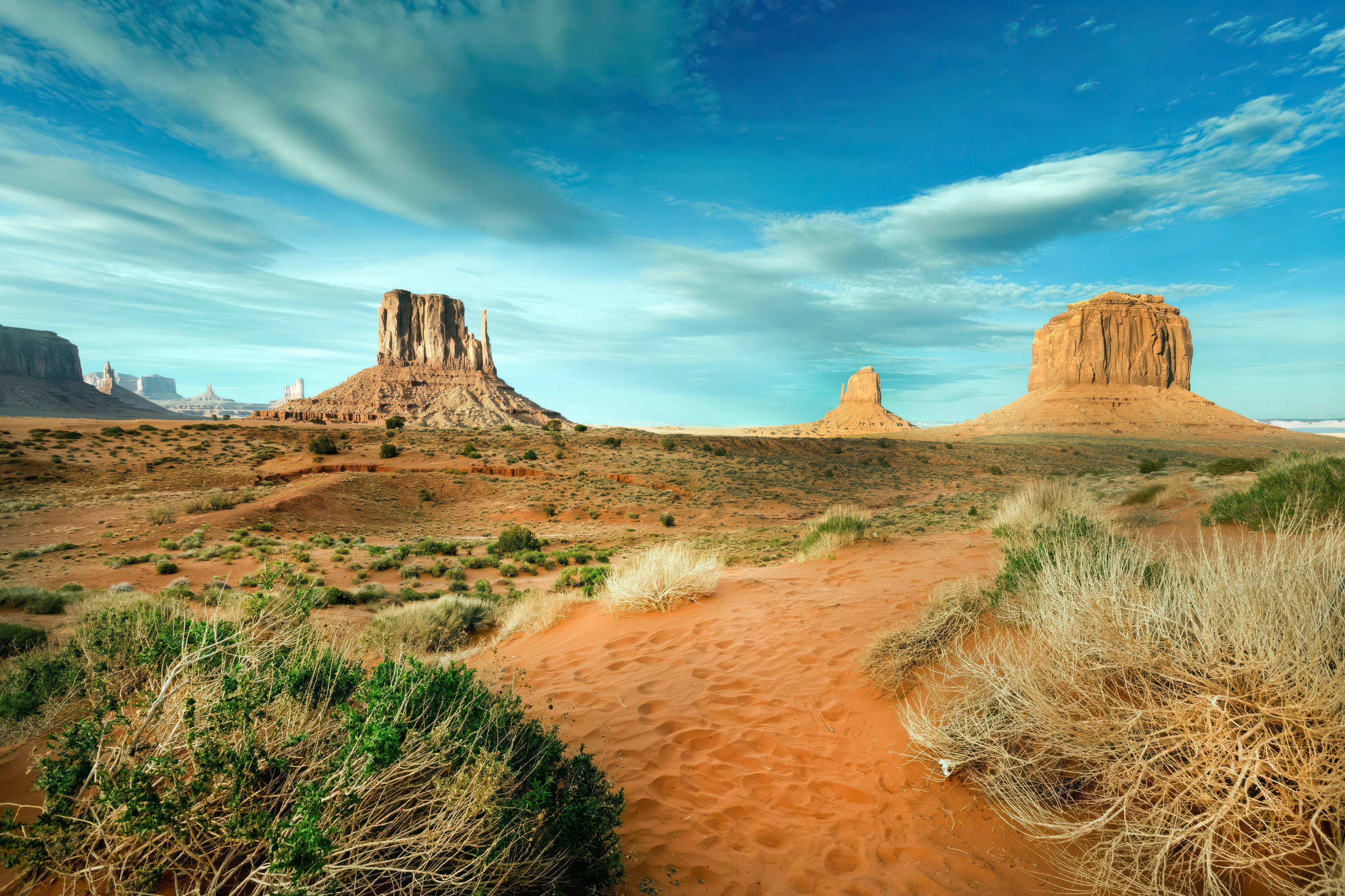 Photo by carolhighsmith