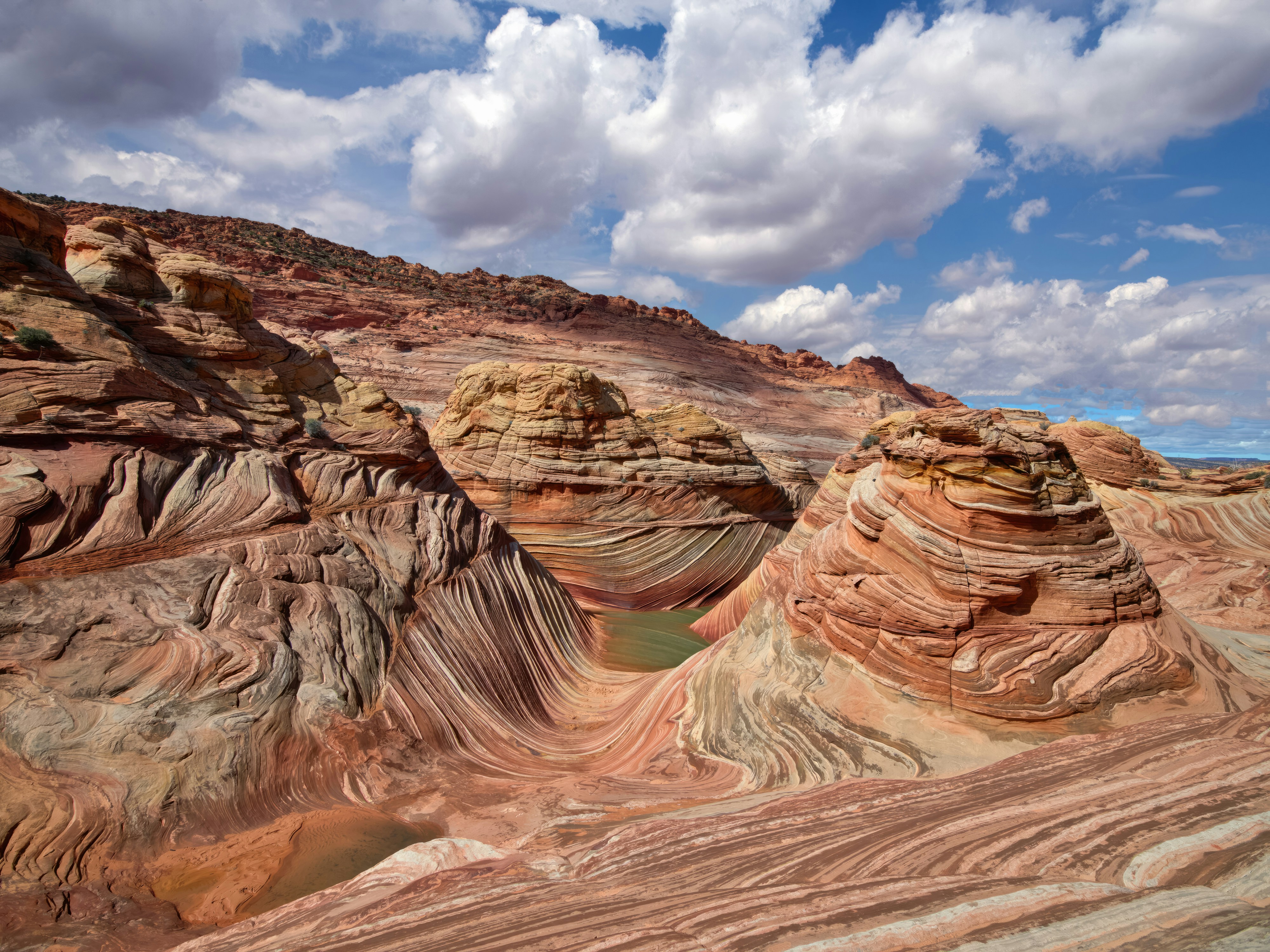 Photo by carolhighsmith