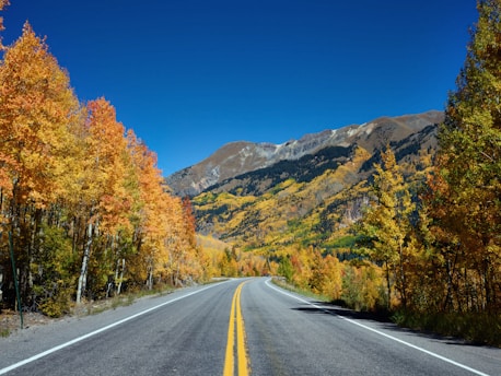 Vivid fall colors on the Million-Dollar Highway between Ouray and Silverton in San Juan County, Colorado