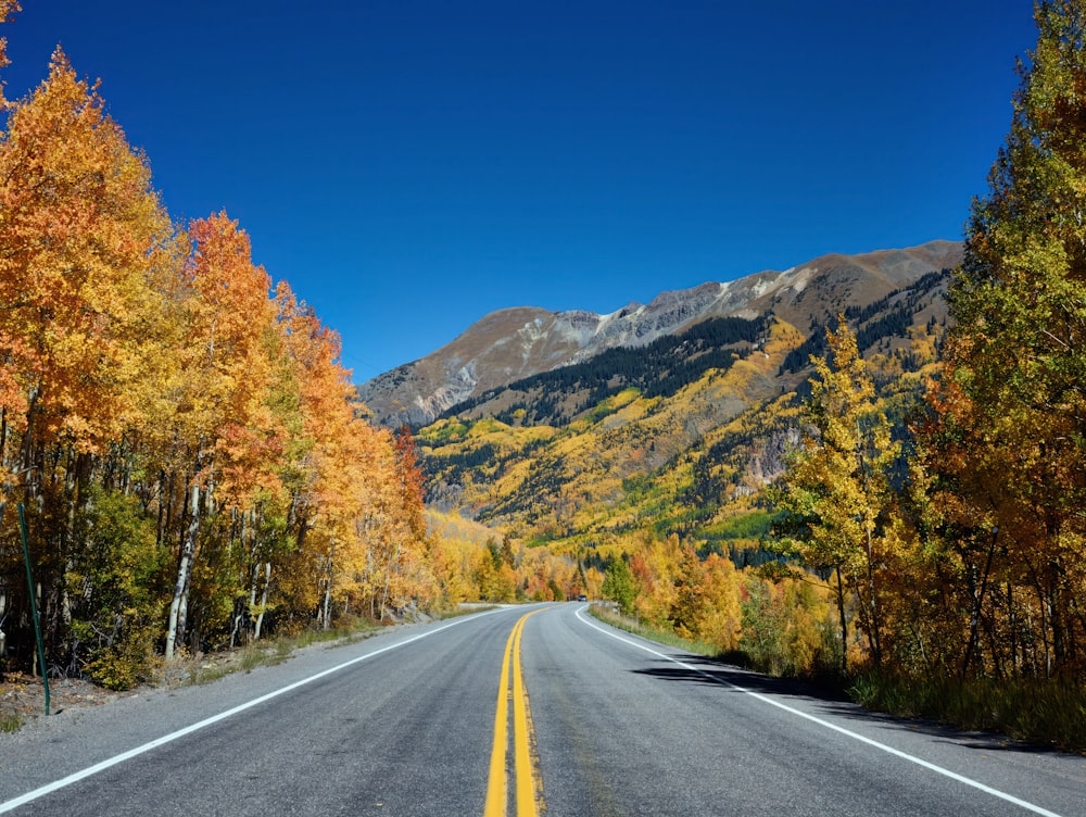 Vivid fall colors on the Million-Dollar Highway between Ouray and Silverton in San Juan County, Colorado