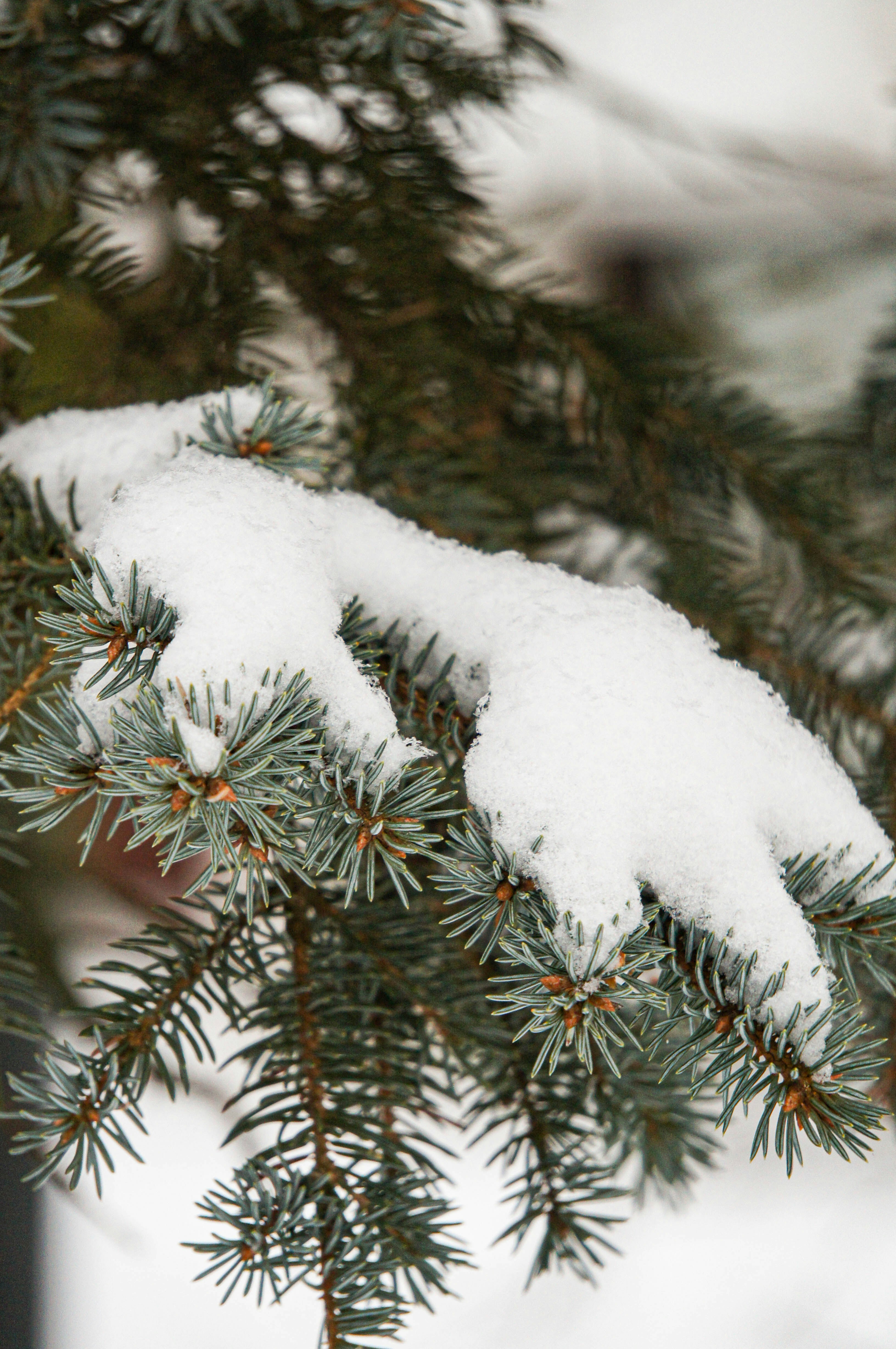 A trendy seasonal outfit showcase