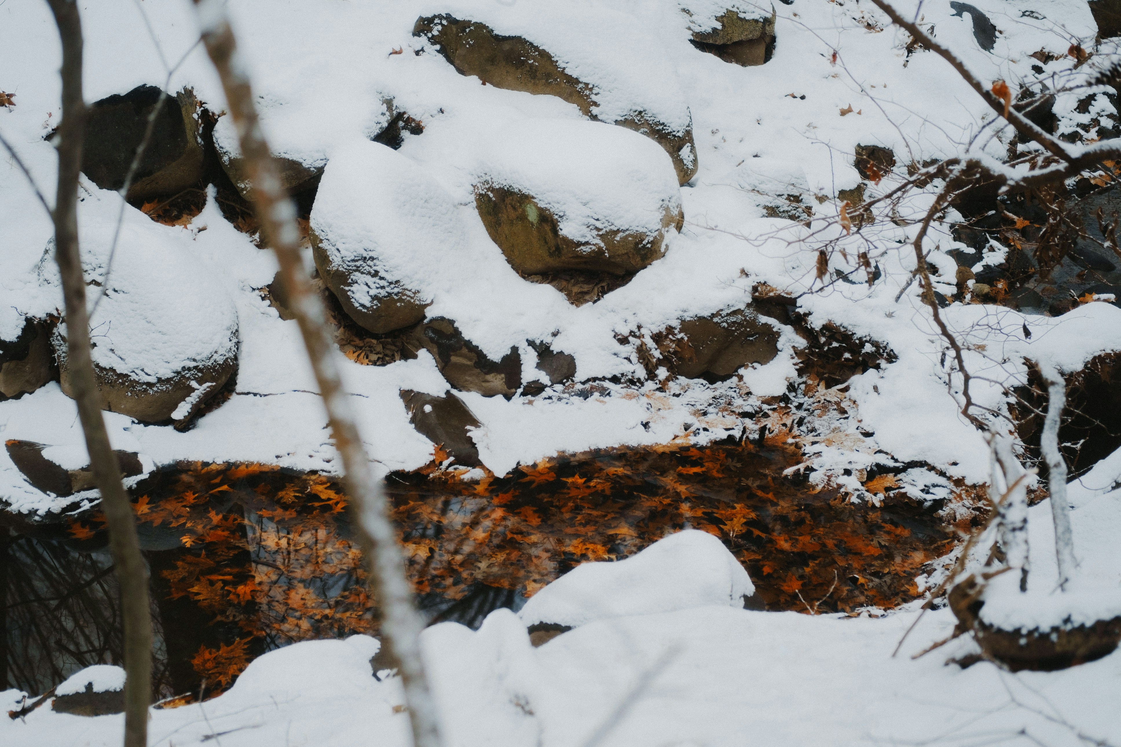 Photo by marsupialpudding