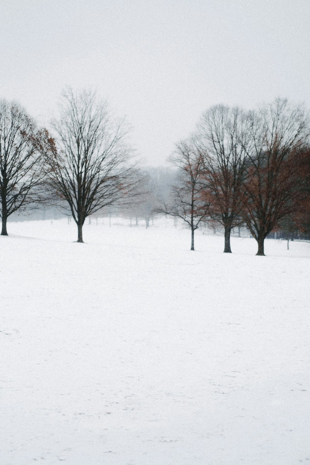 a person riding a horse through a snow covered field