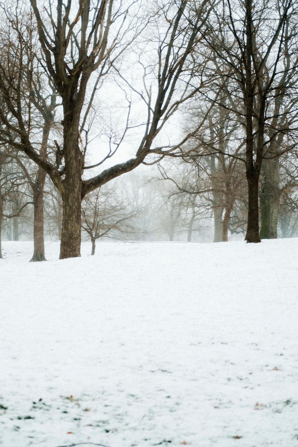 a man riding a snowboard down a snow covered slope