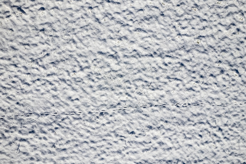 a textured background of white and blue paint