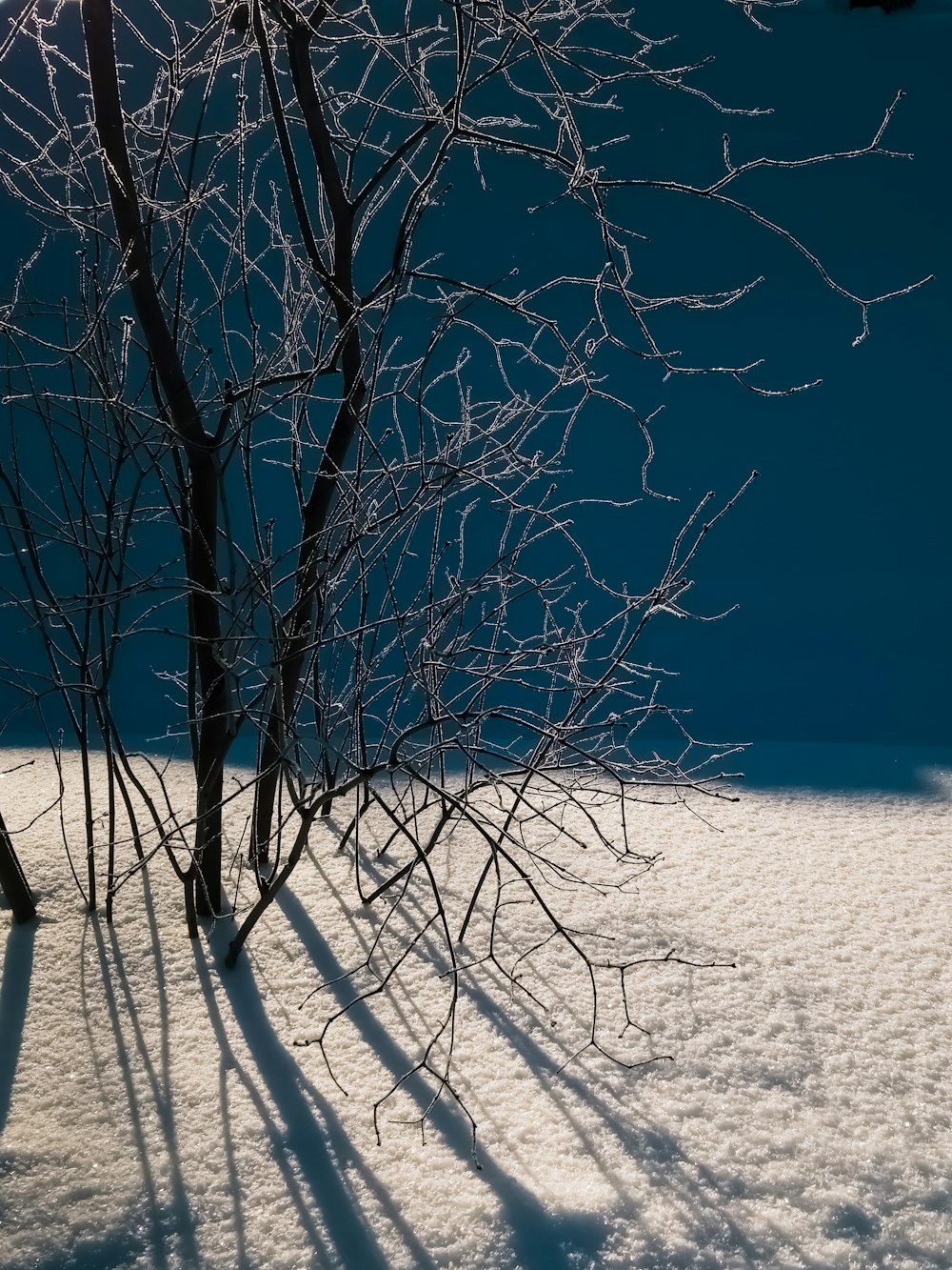 a snowboarder is going down a snowy hill