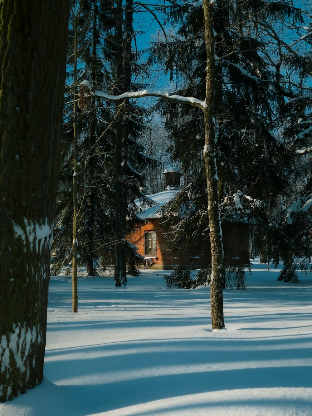 a snow covered field with a house in the background