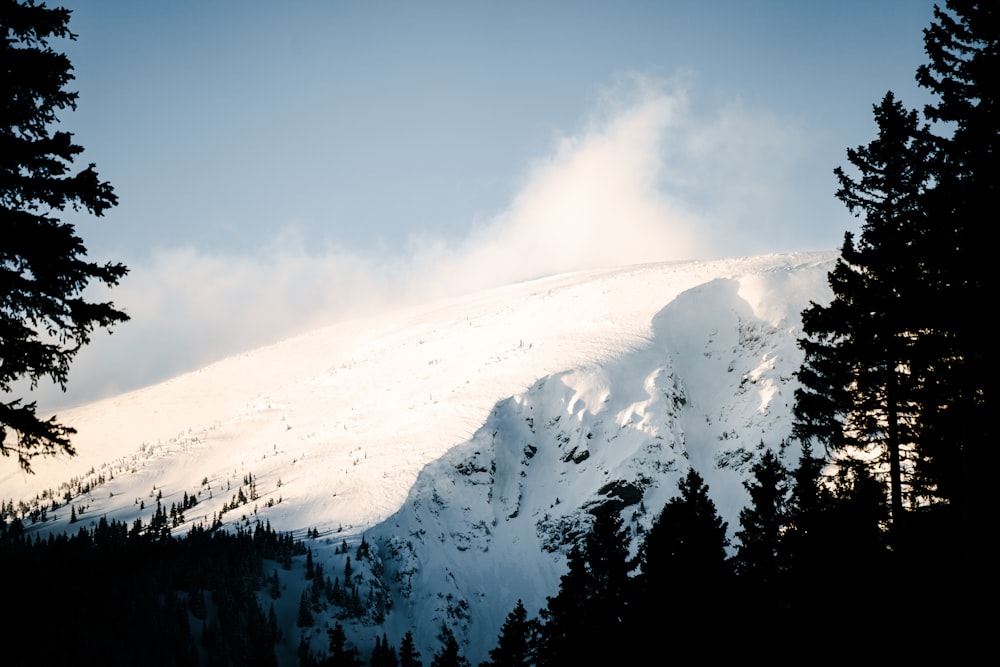 a mountain covered in snow and surrounded by trees