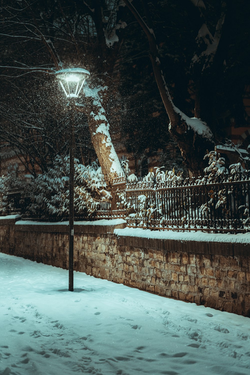 a street light in the middle of a snowy night