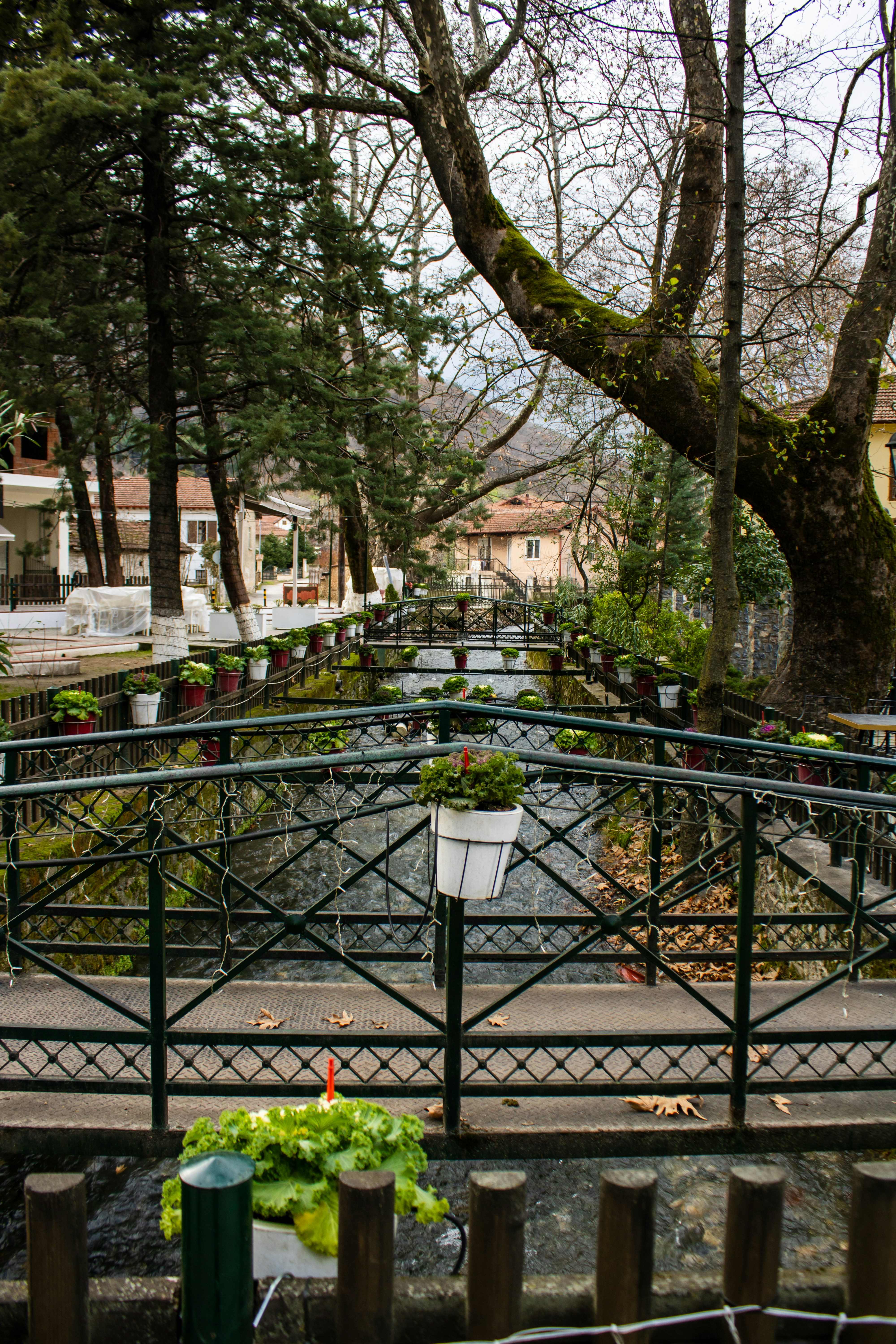 a bridge with a potted plant on top of it