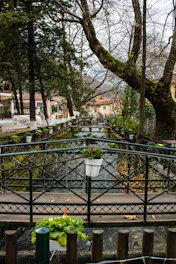 a bridge with a potted plant on top of it © Makis Hristaras Unsplash