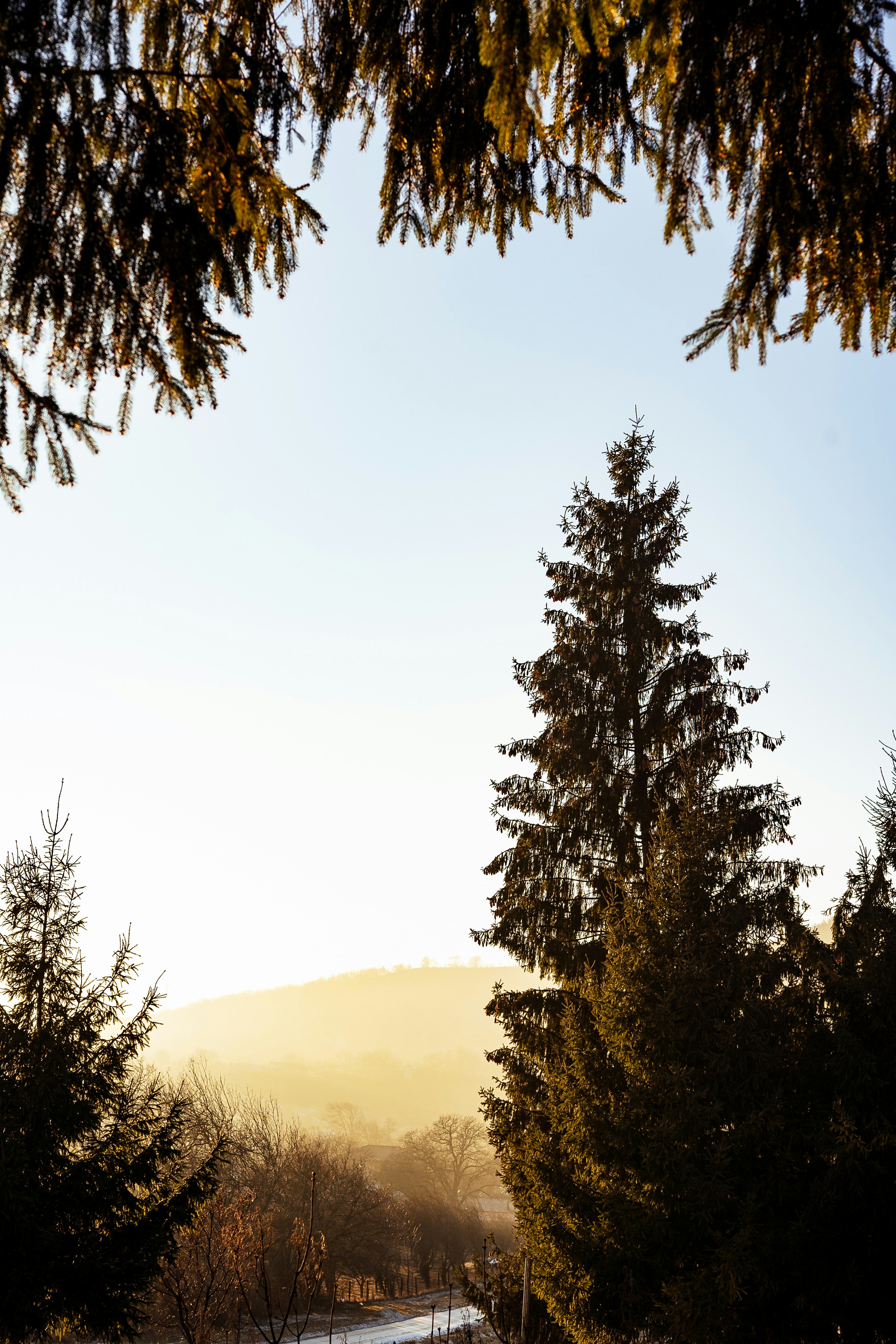 Photo by calinrazvanfotograf