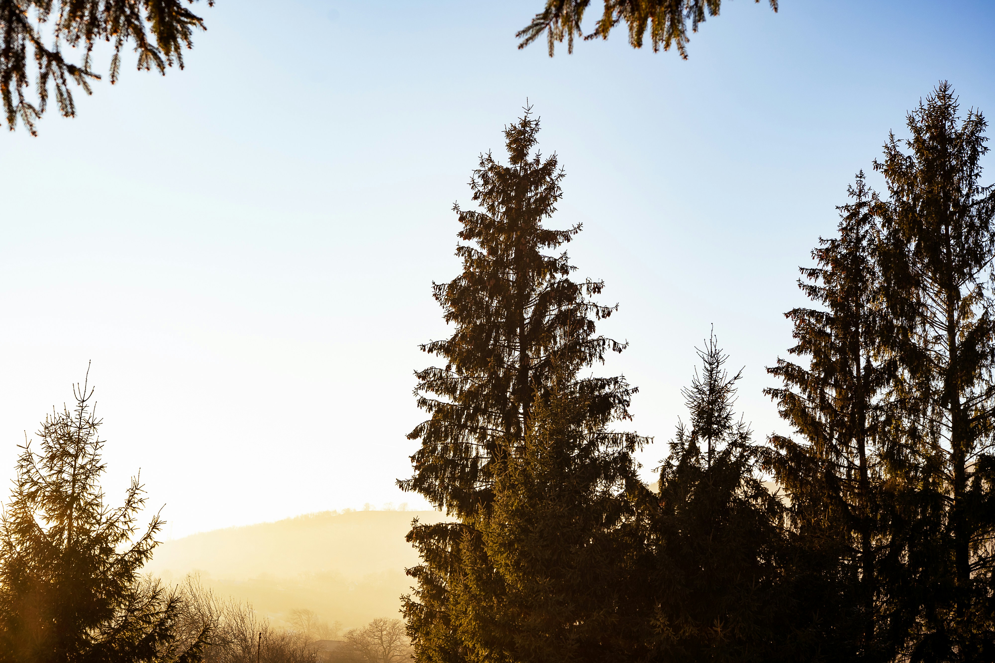 Photo by calinrazvanfotograf