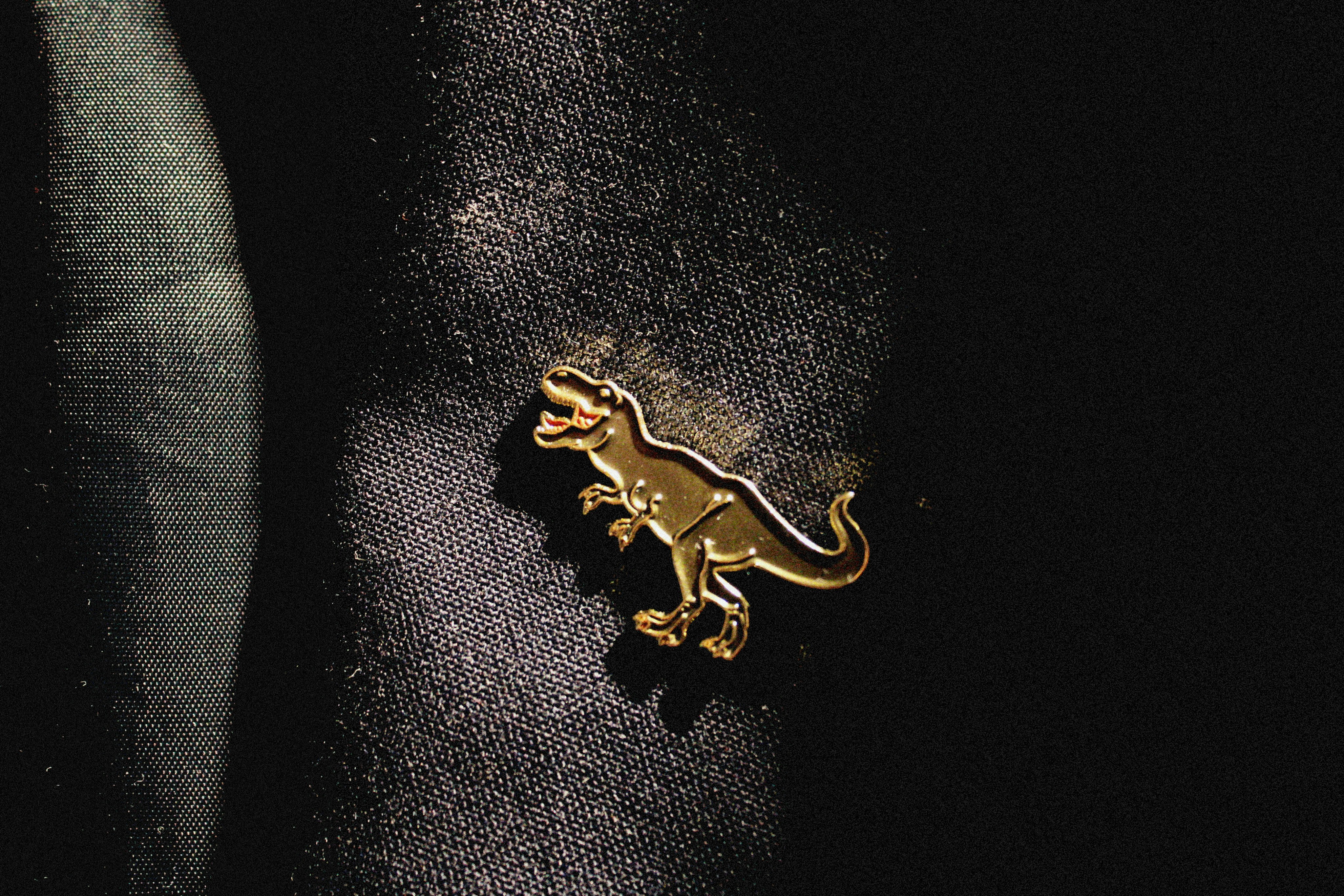 a gold brooch with a lizard on it