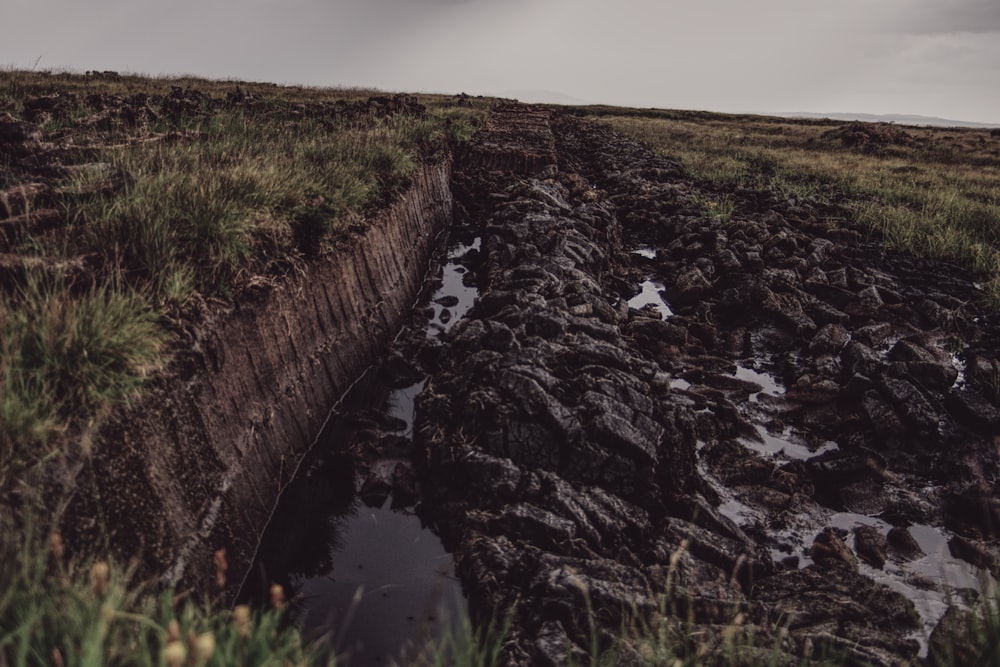 un campo fangoso con un charco de agua