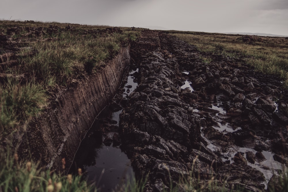 a muddy field with a puddle of water in it