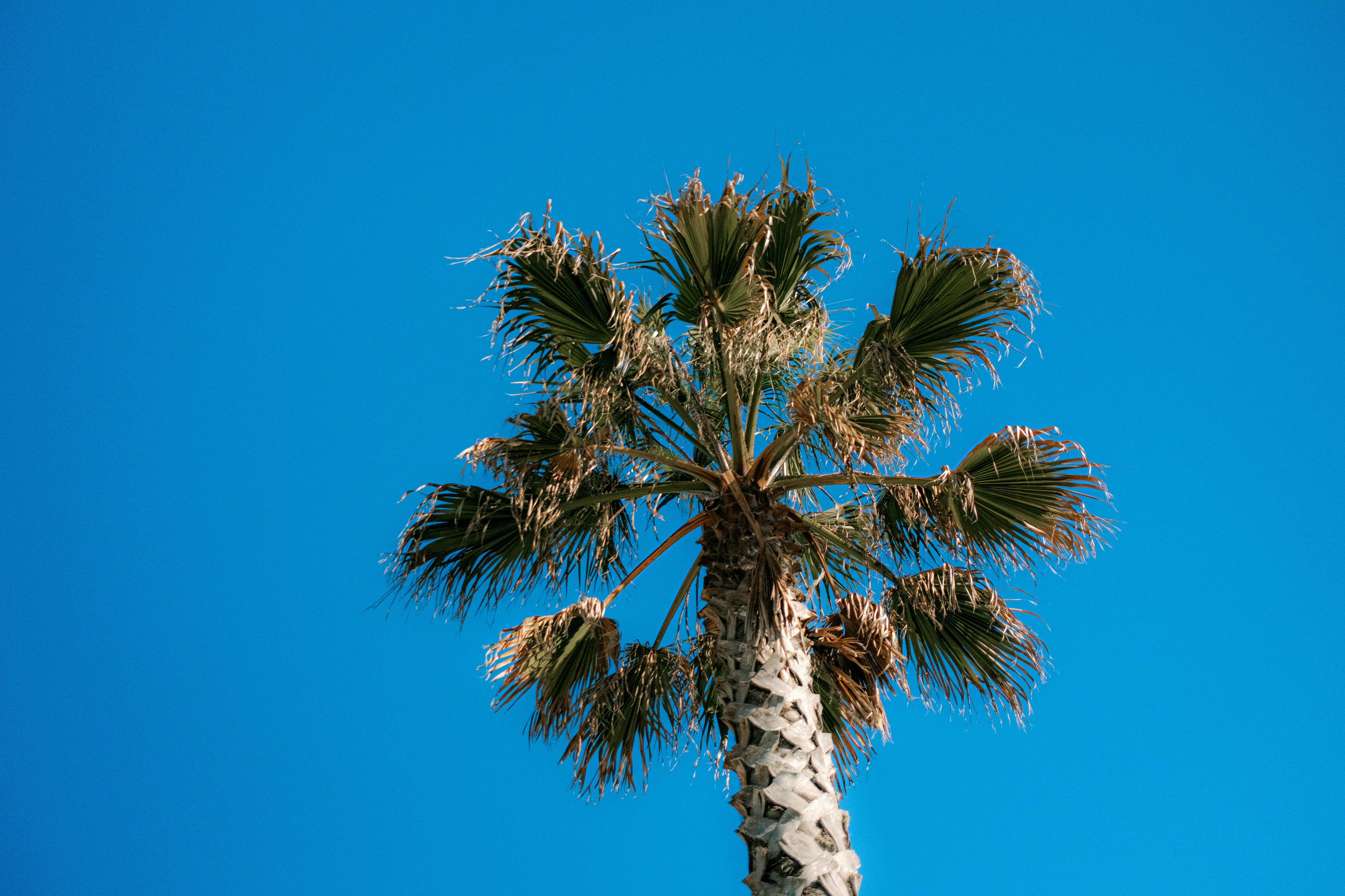 Photo by valentinlacoste