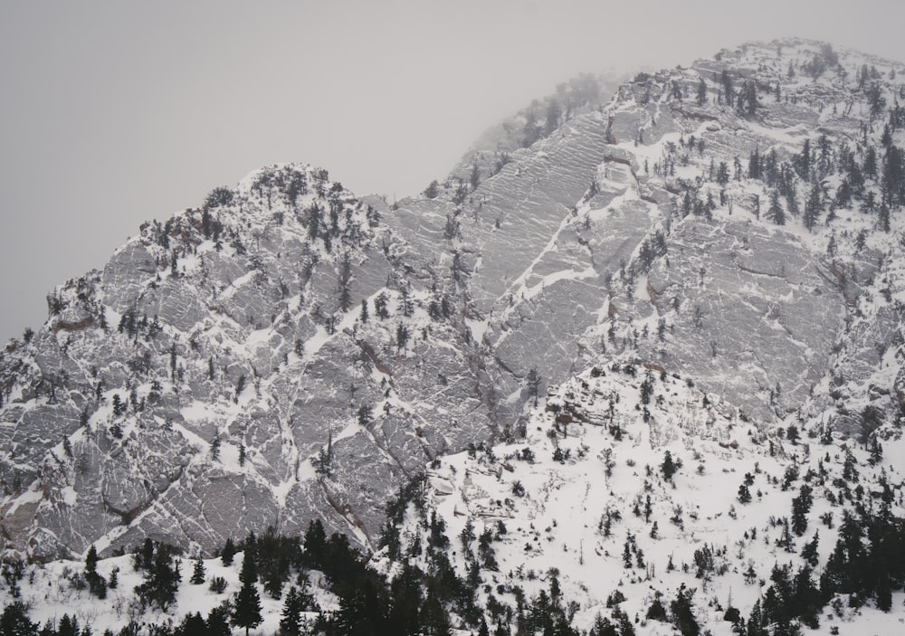 a mountain covered in snow with trees in the foreground