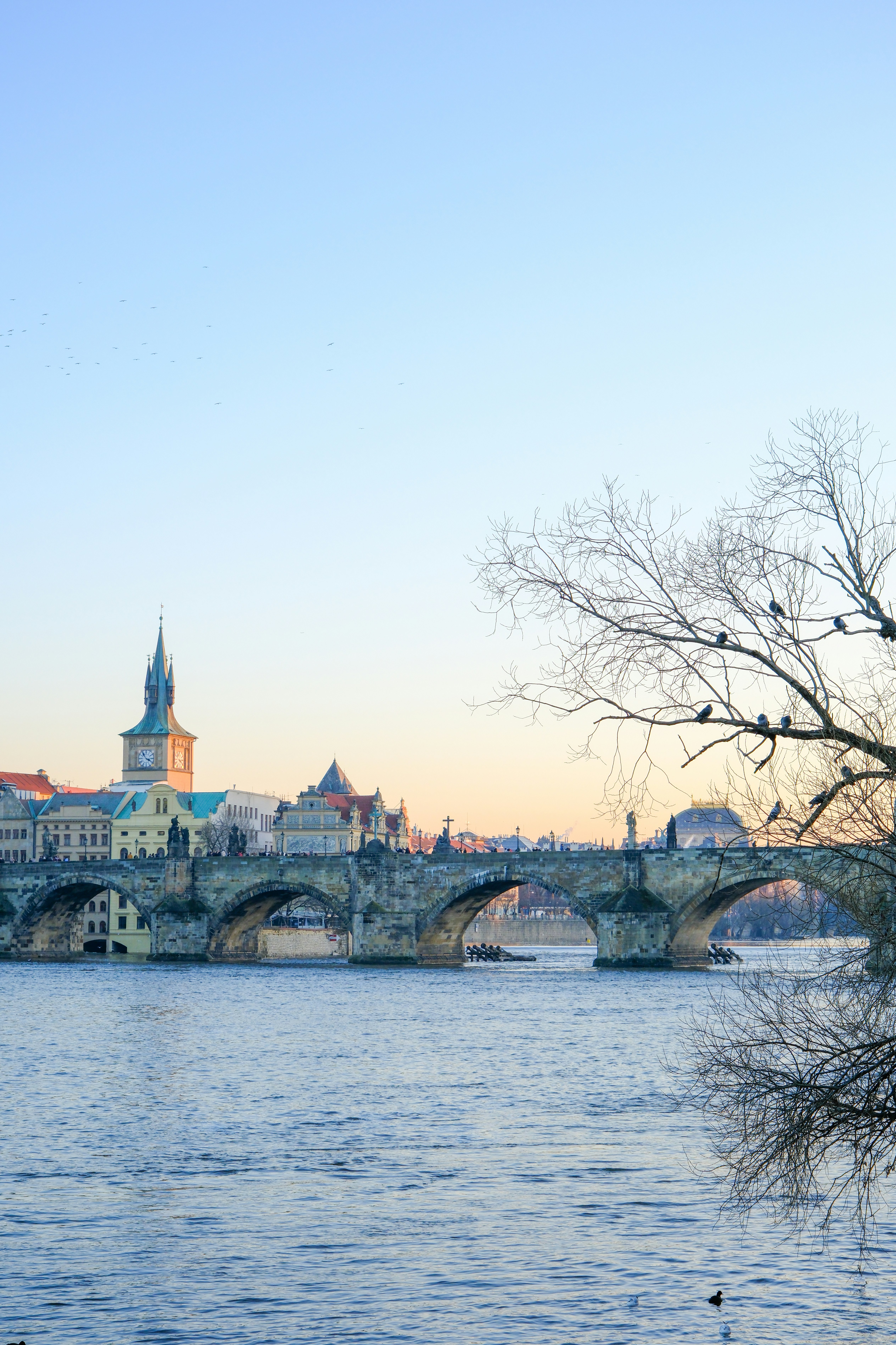 Photo by cestmoisheedy