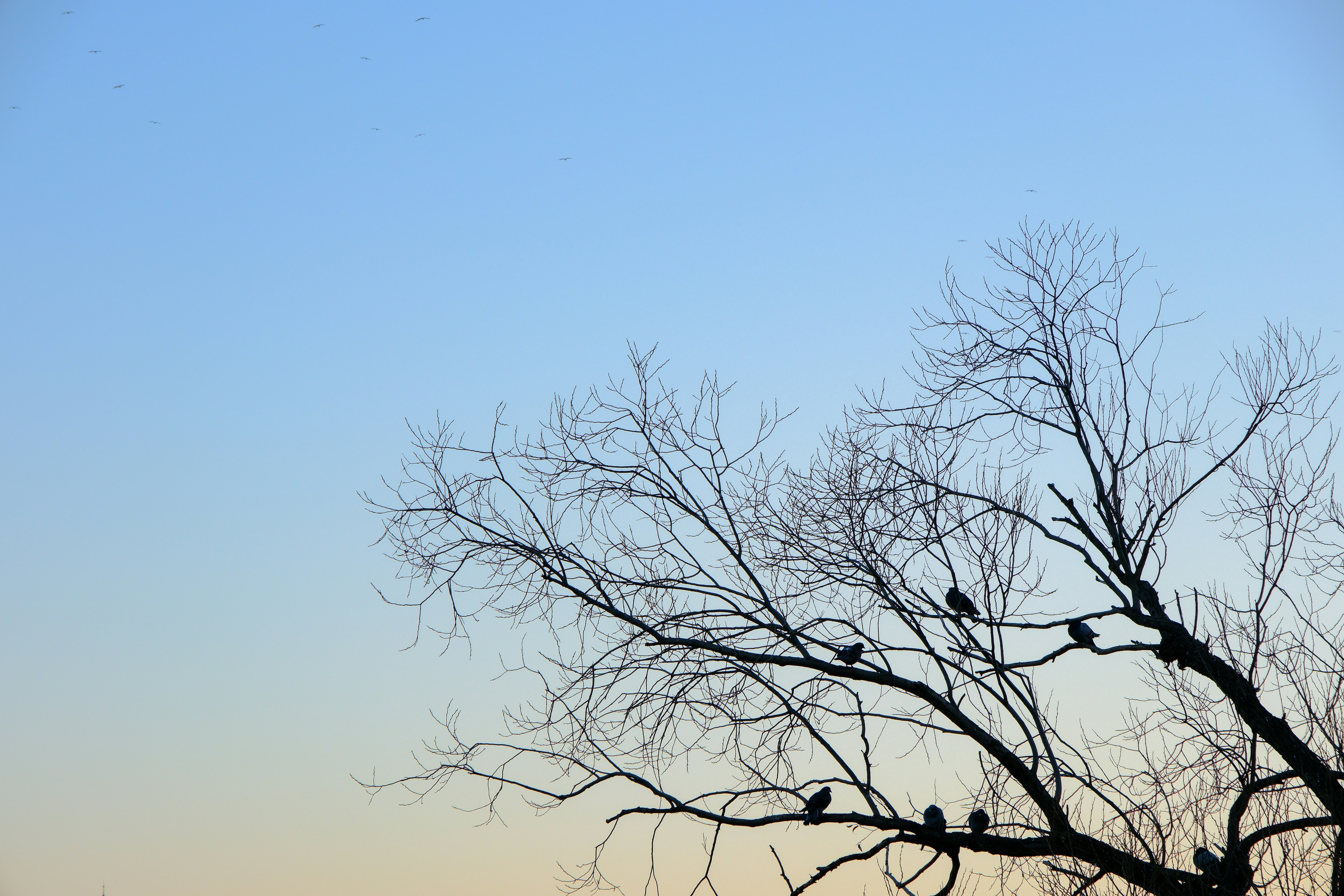 Photo by cestmoisheedy